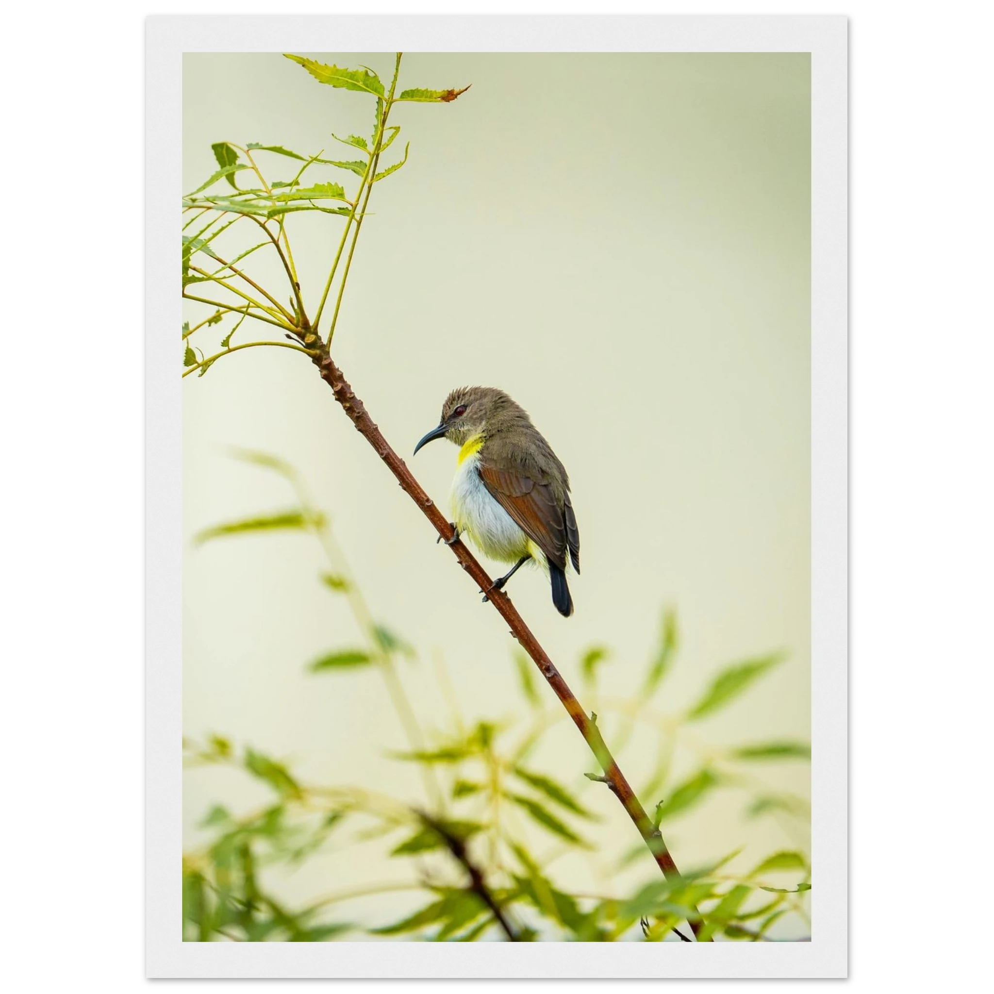 07447d71-414c-4c38-8e20-b61974dd3cf4