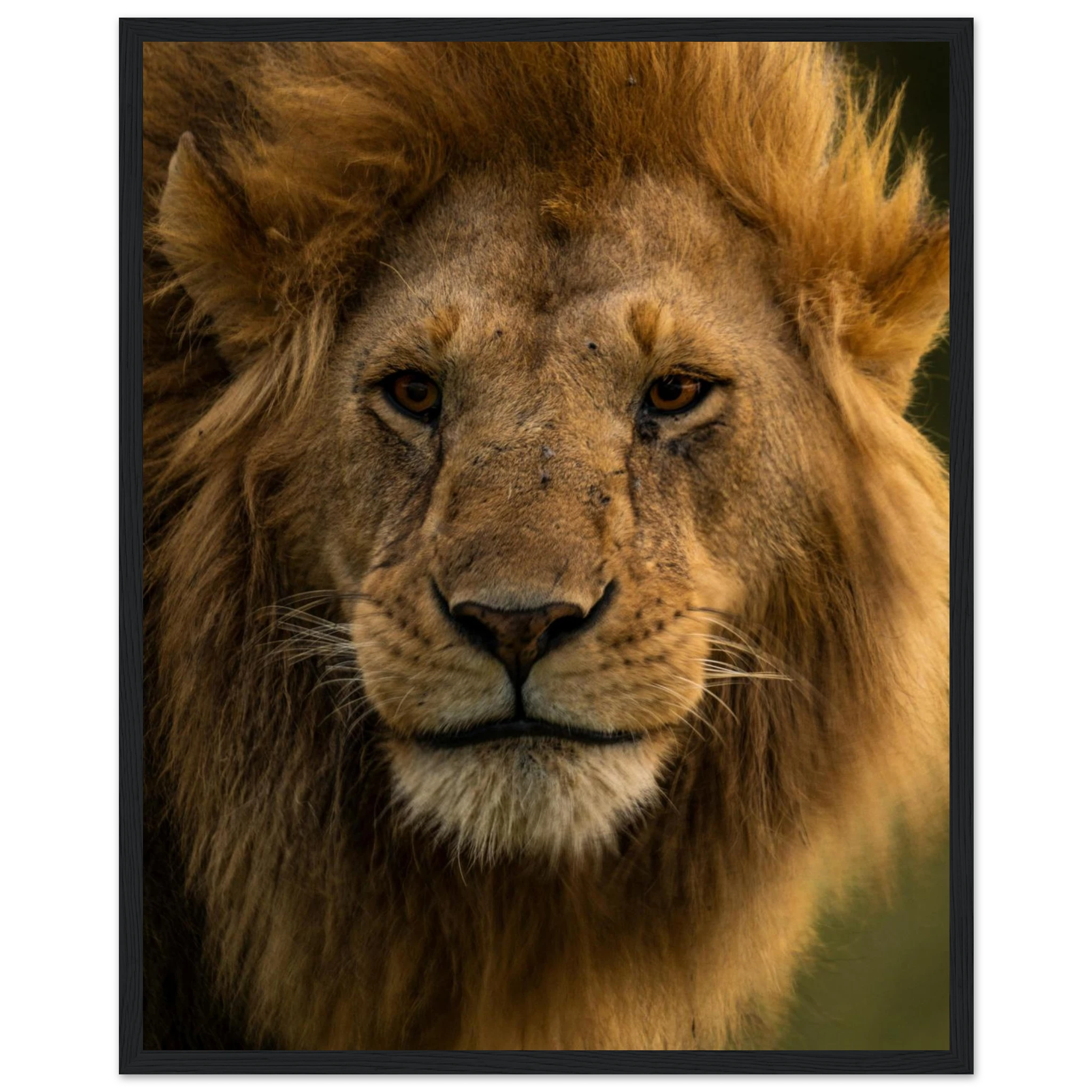 0744ecb5-0b26-442a-8afe-6223ba60664a