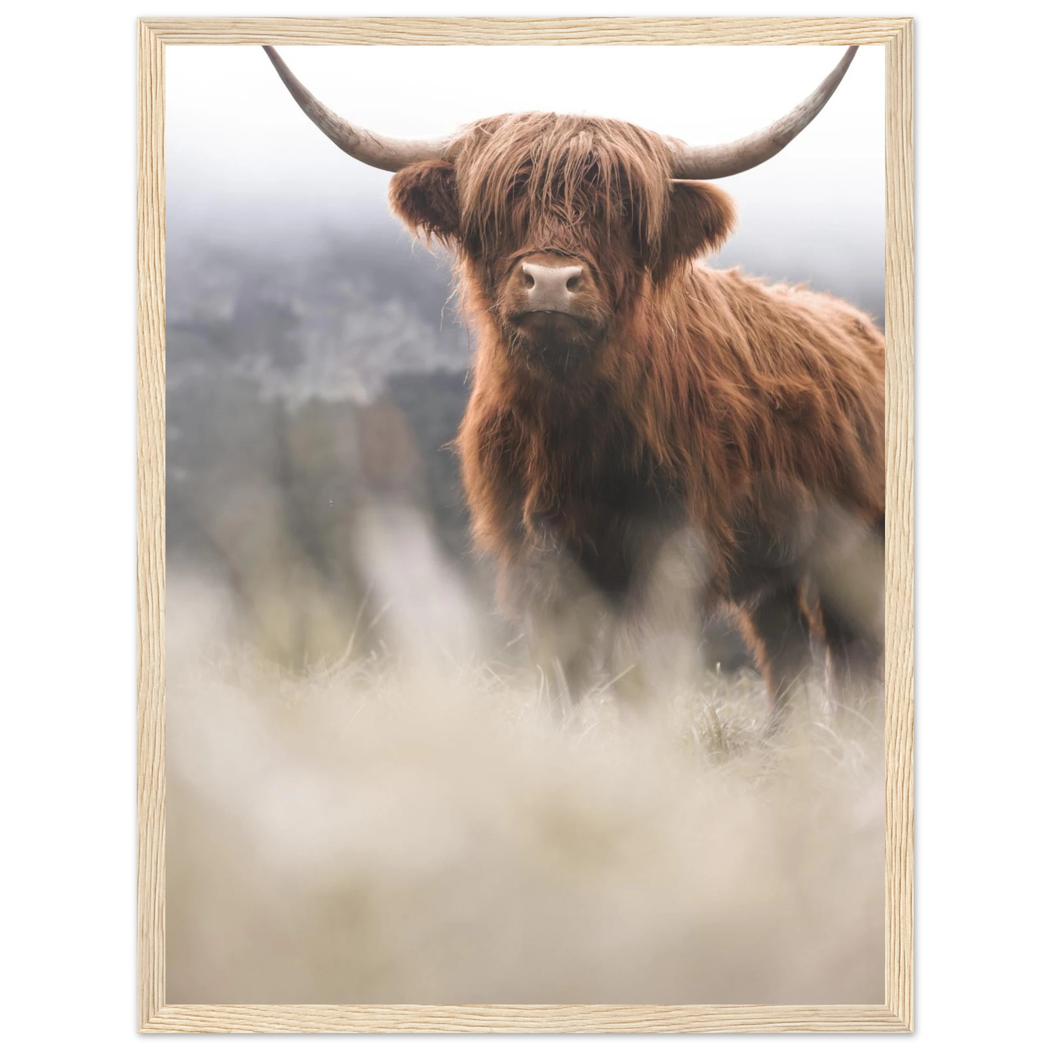 0753ebc7-632e-4fd5-bc17-d87381905feb