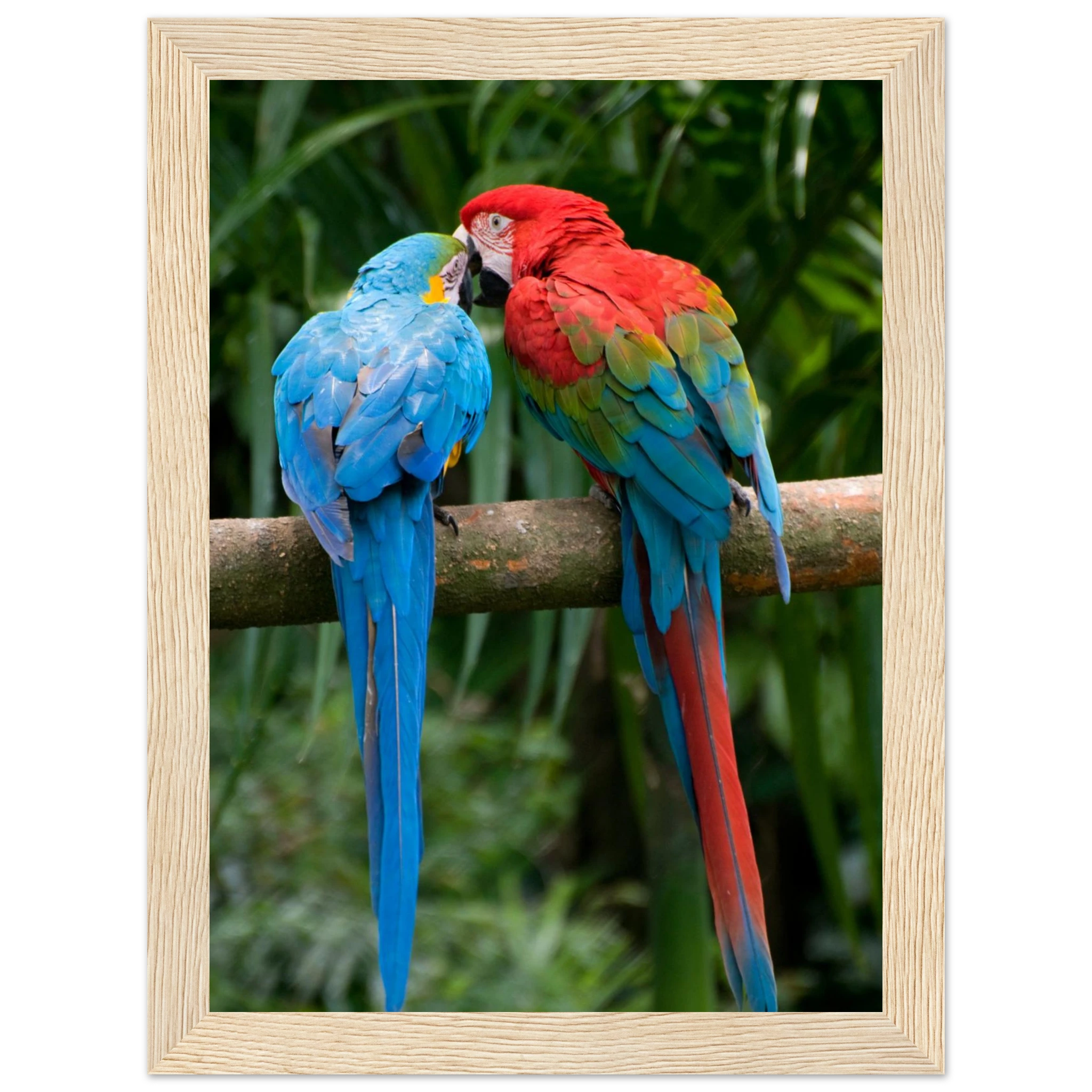 0764fec2-c93a-4c53-a8d0-9617d344dc8b