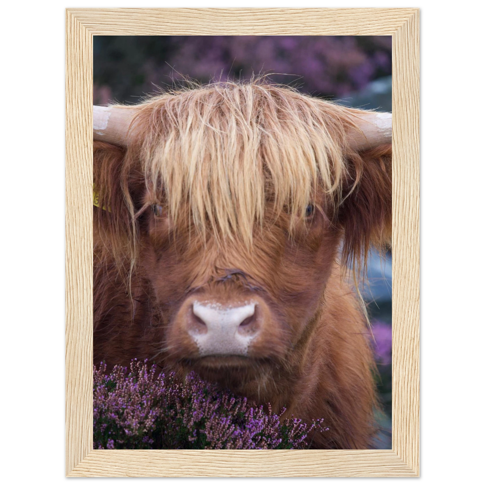 078f87cc-dac3-4dba-be0f-41187c8daff8