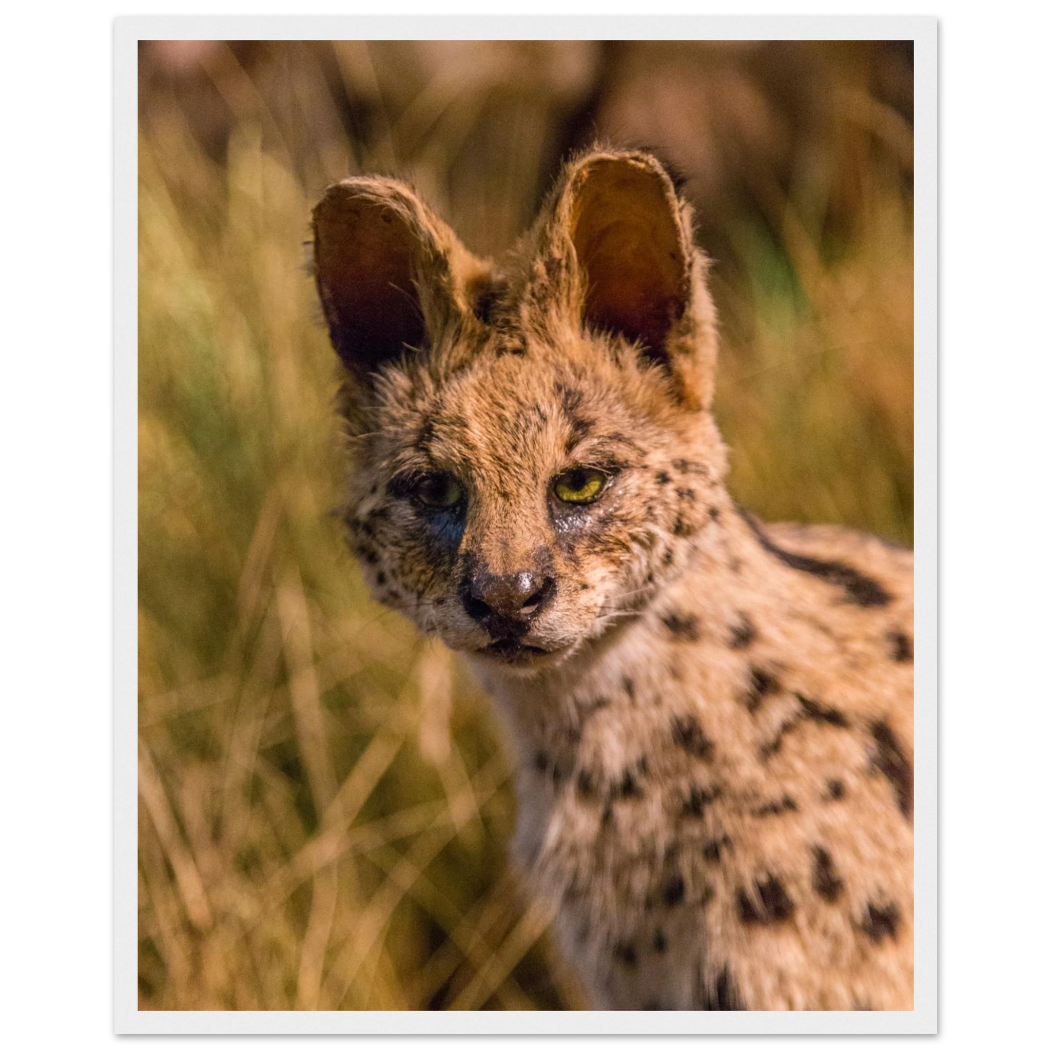 07977289-3776-4374-865c-df2b62542422