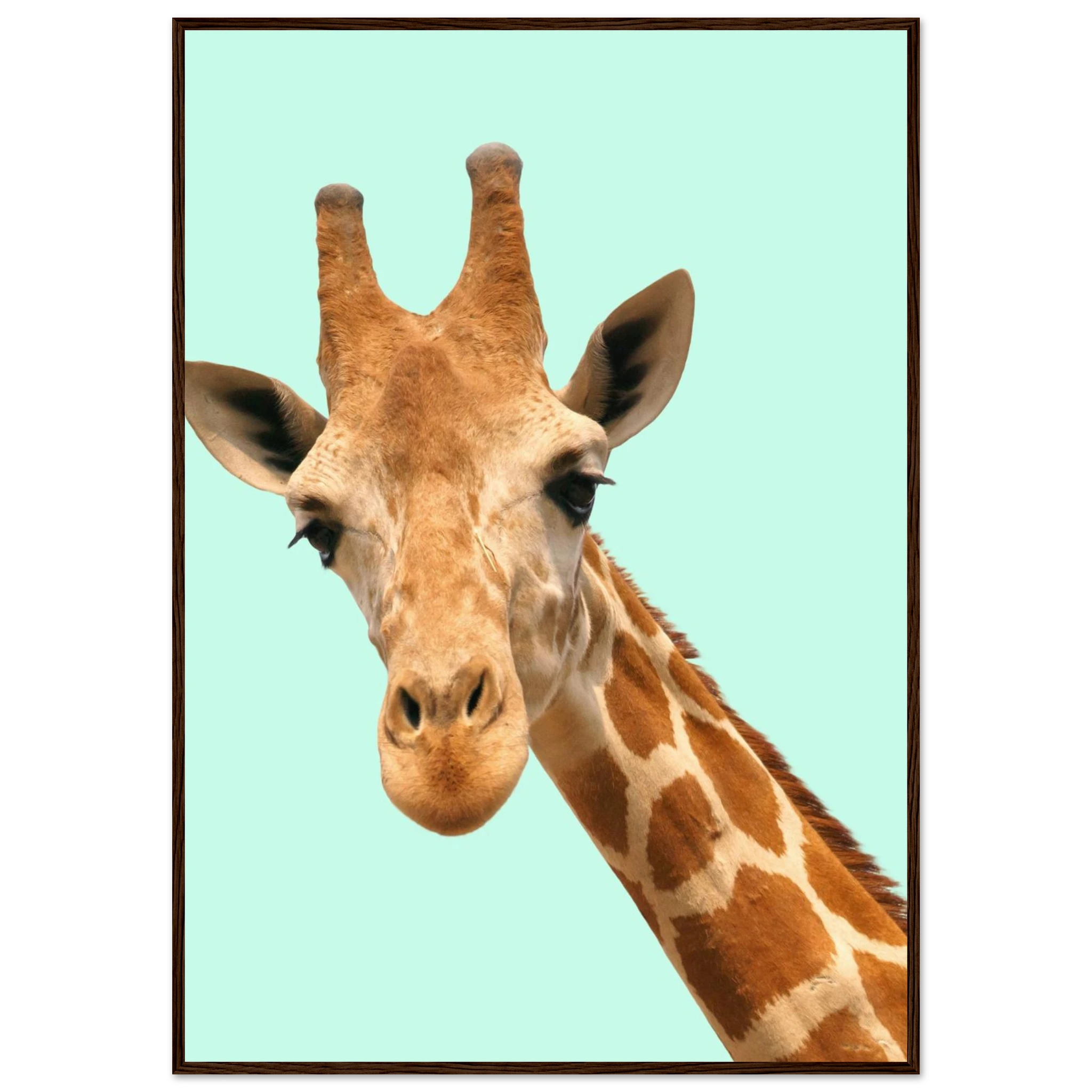 079d9a11-4868-49fa-8ccf-eba268d33d56