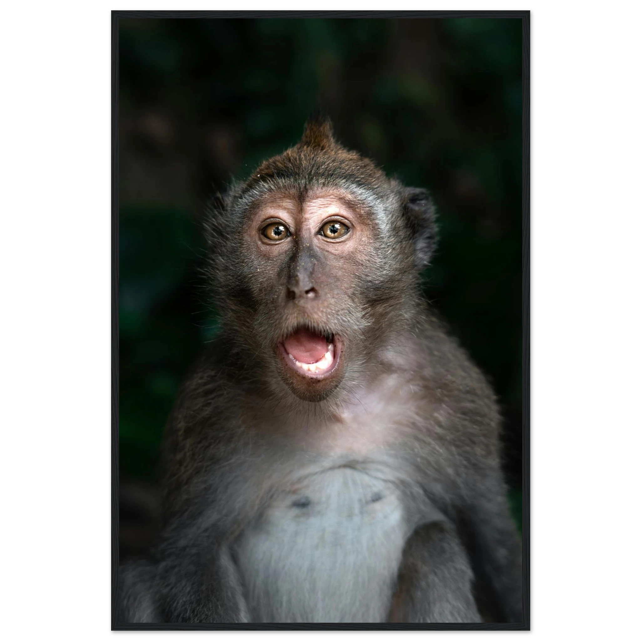 07bc2be3-4972-42bf-858b-43c185b8b879