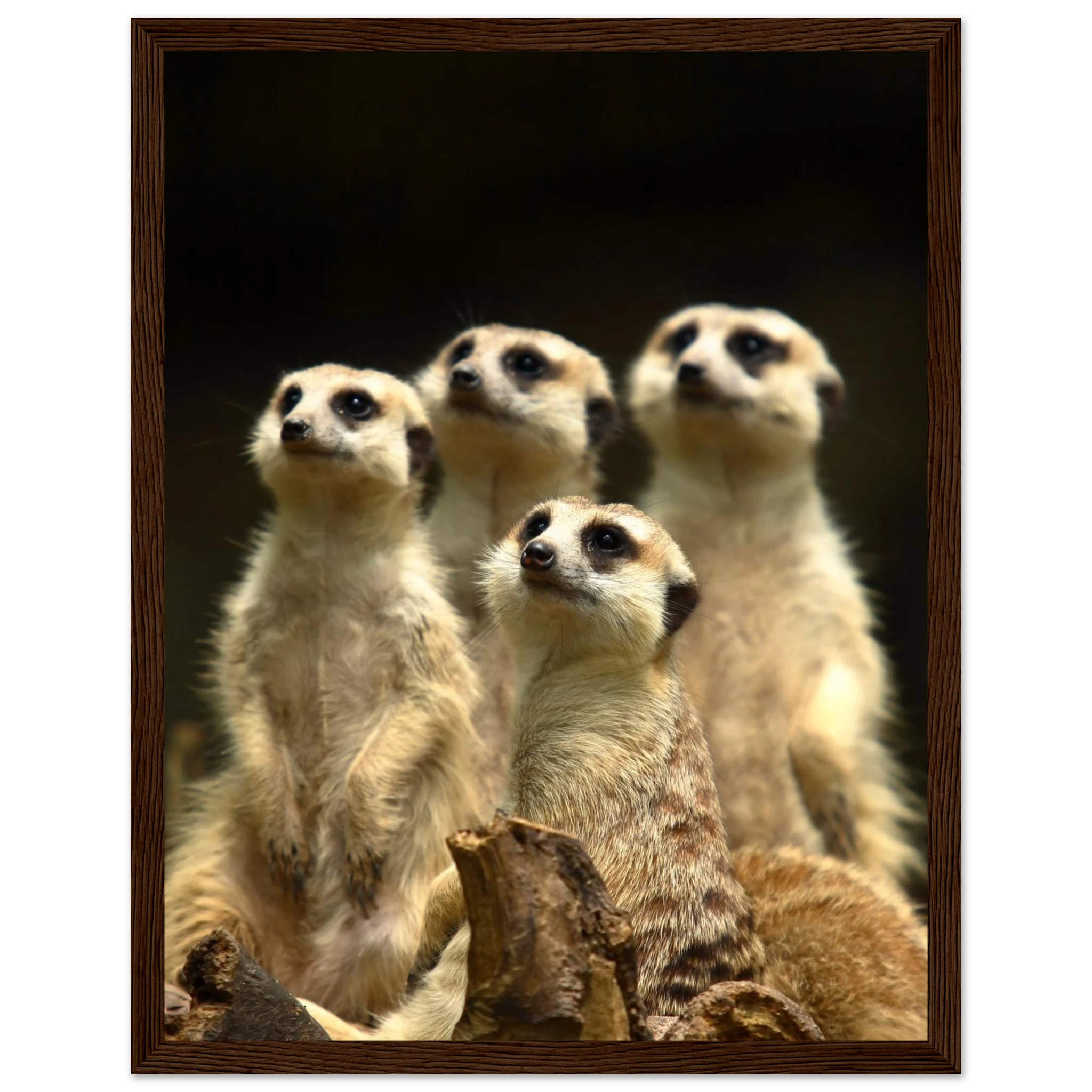 0800168f-4a31-4a74-8325-f5a61cca584f