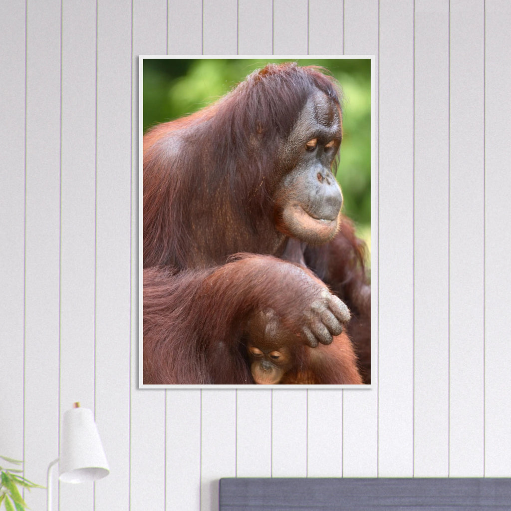 0819f554-4f3d-4c17-94ed-53008752f8d7