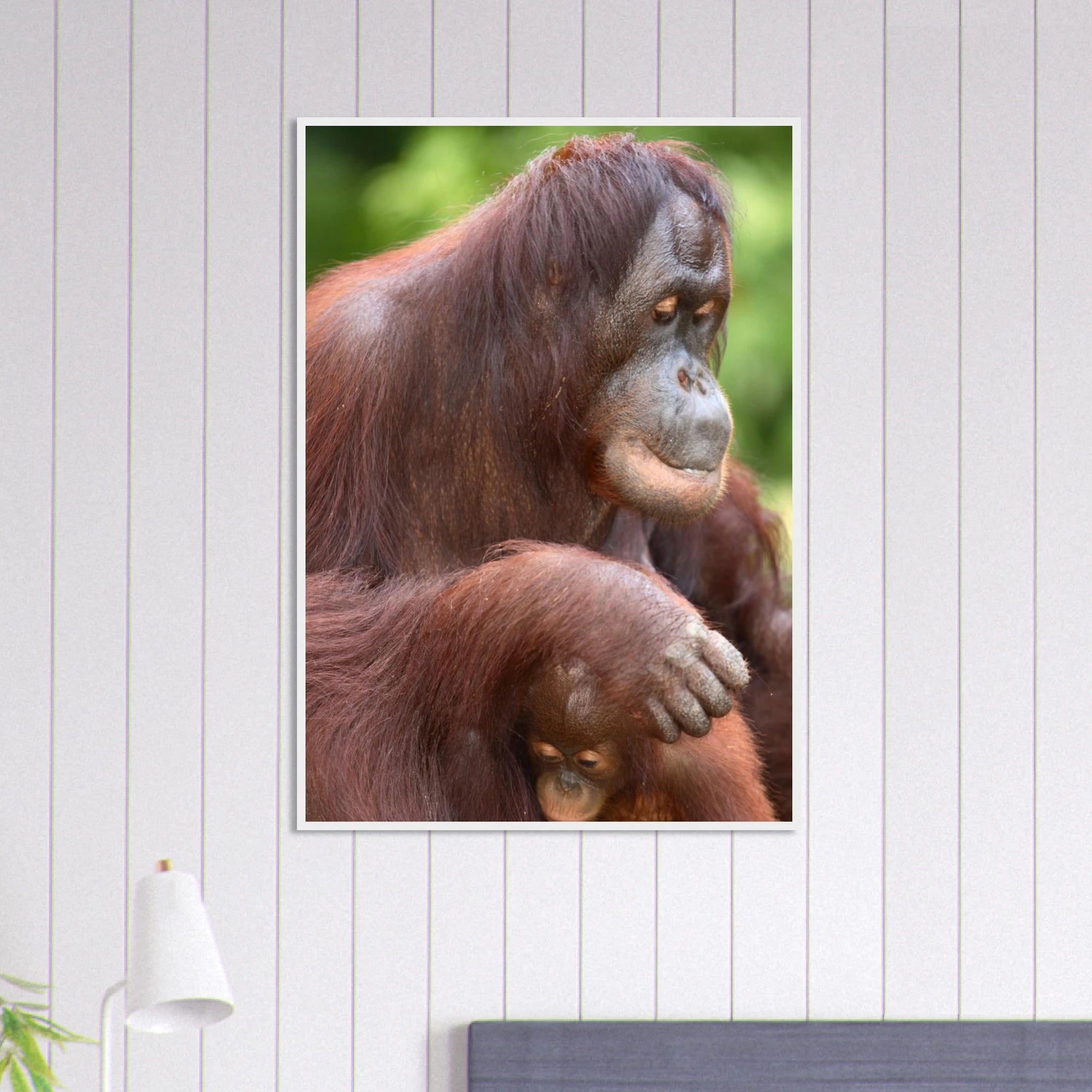 0819f554-4f3d-4c17-94ed-53008752f8d7