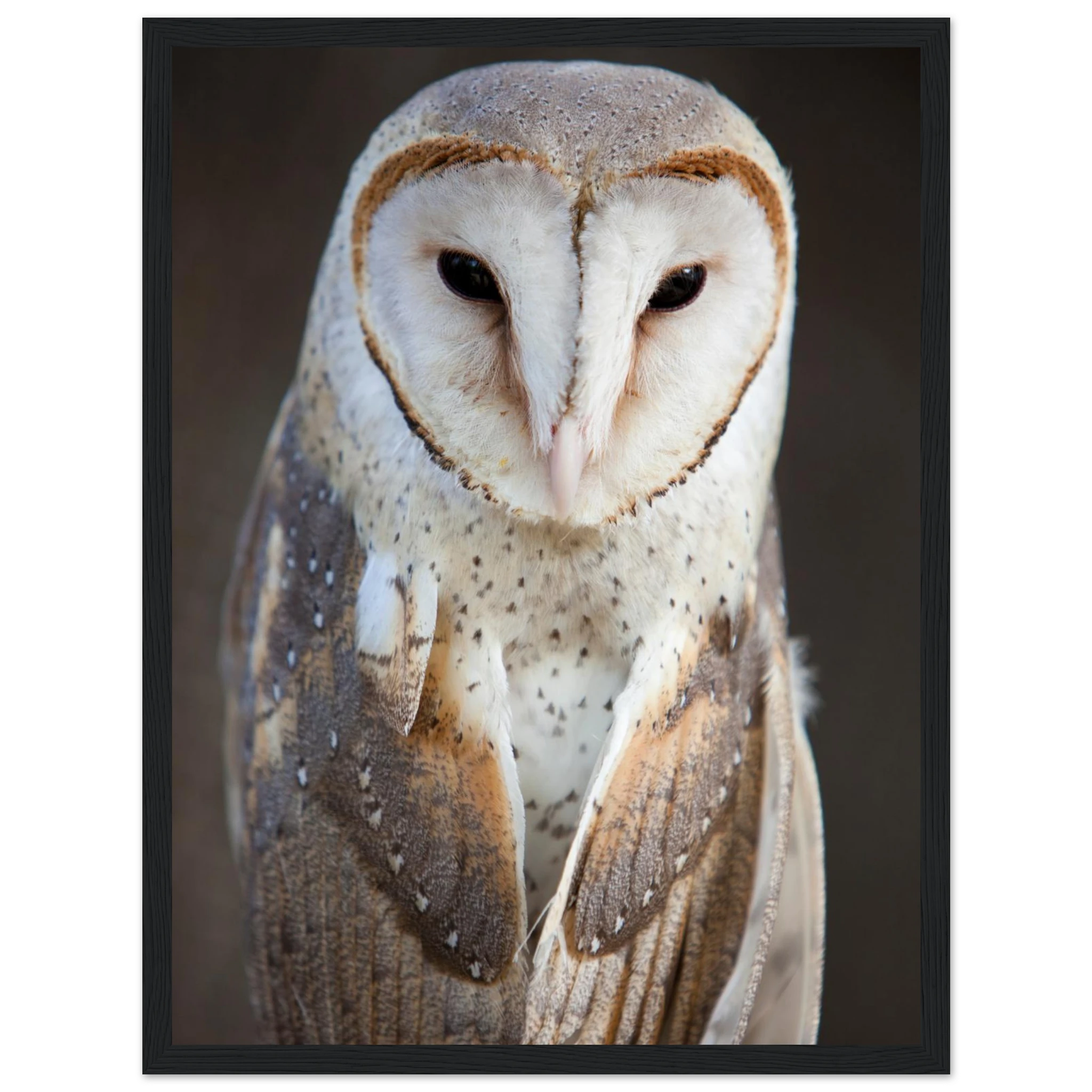 082c545f-1e63-4a4a-bd13-662a5526d9d4