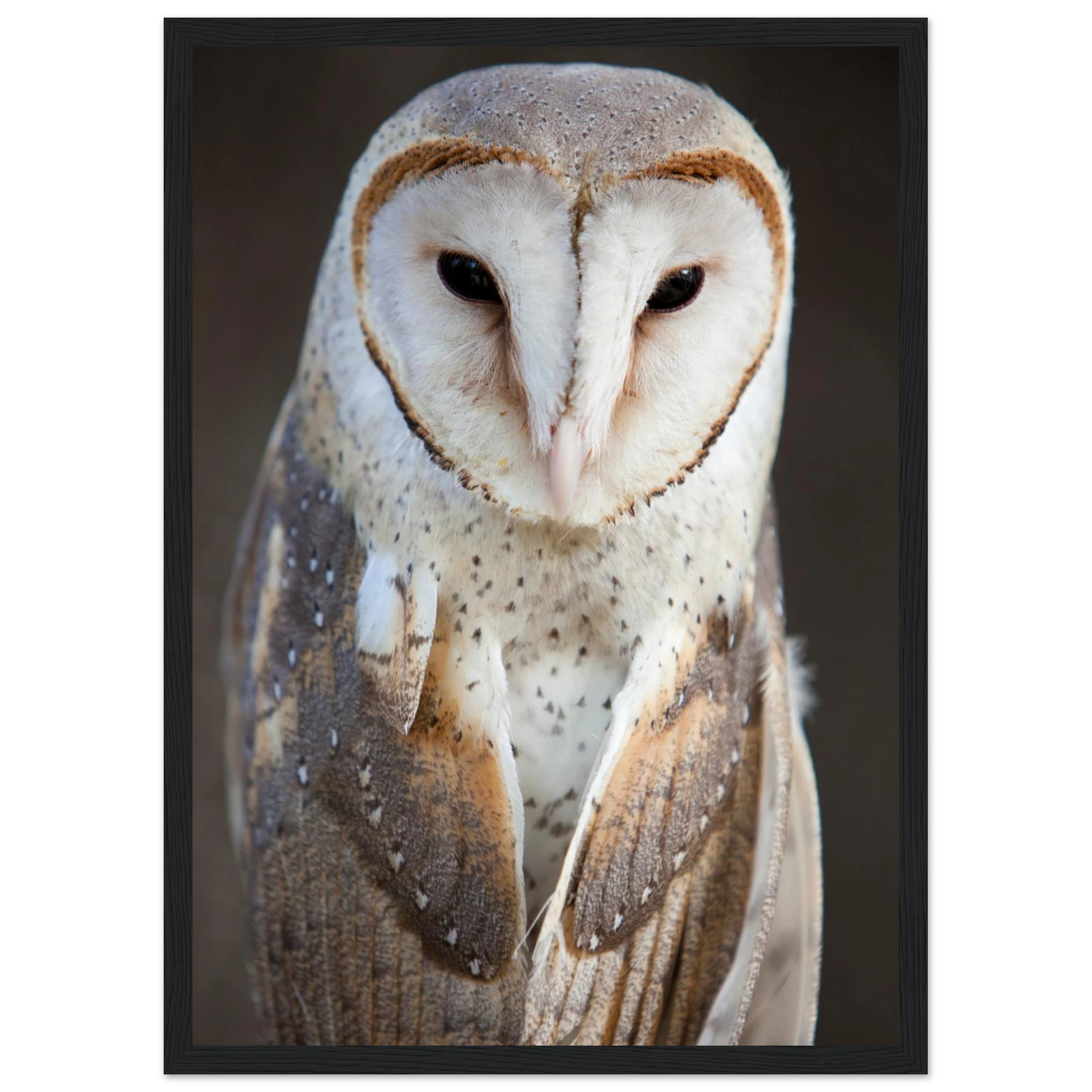 082c947b-8a5b-43e1-b637-0deeb62f521e