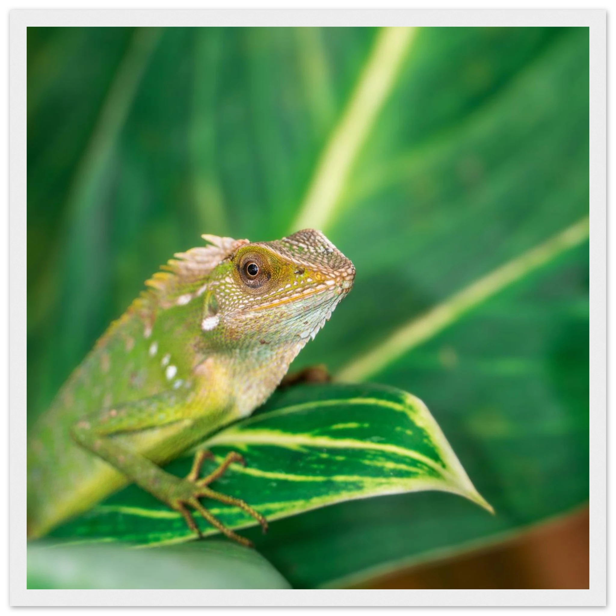 083b3c13-128a-466b-9ace-808d48da1794