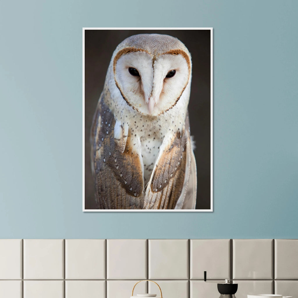 0841e5c6-4fb7-429c-bbcb-07b620164dbf