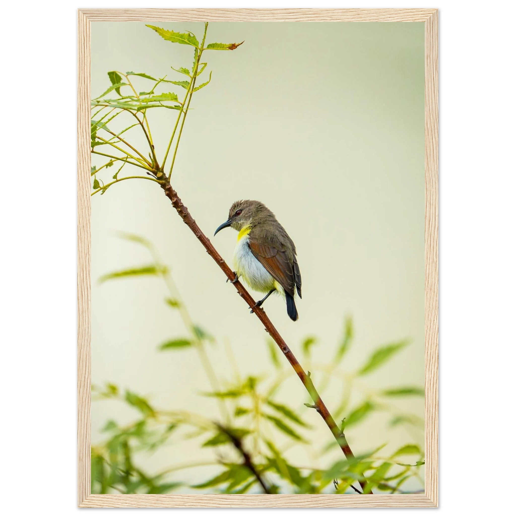 0852df3d-ebbf-4a3e-be02-49a8e01df638