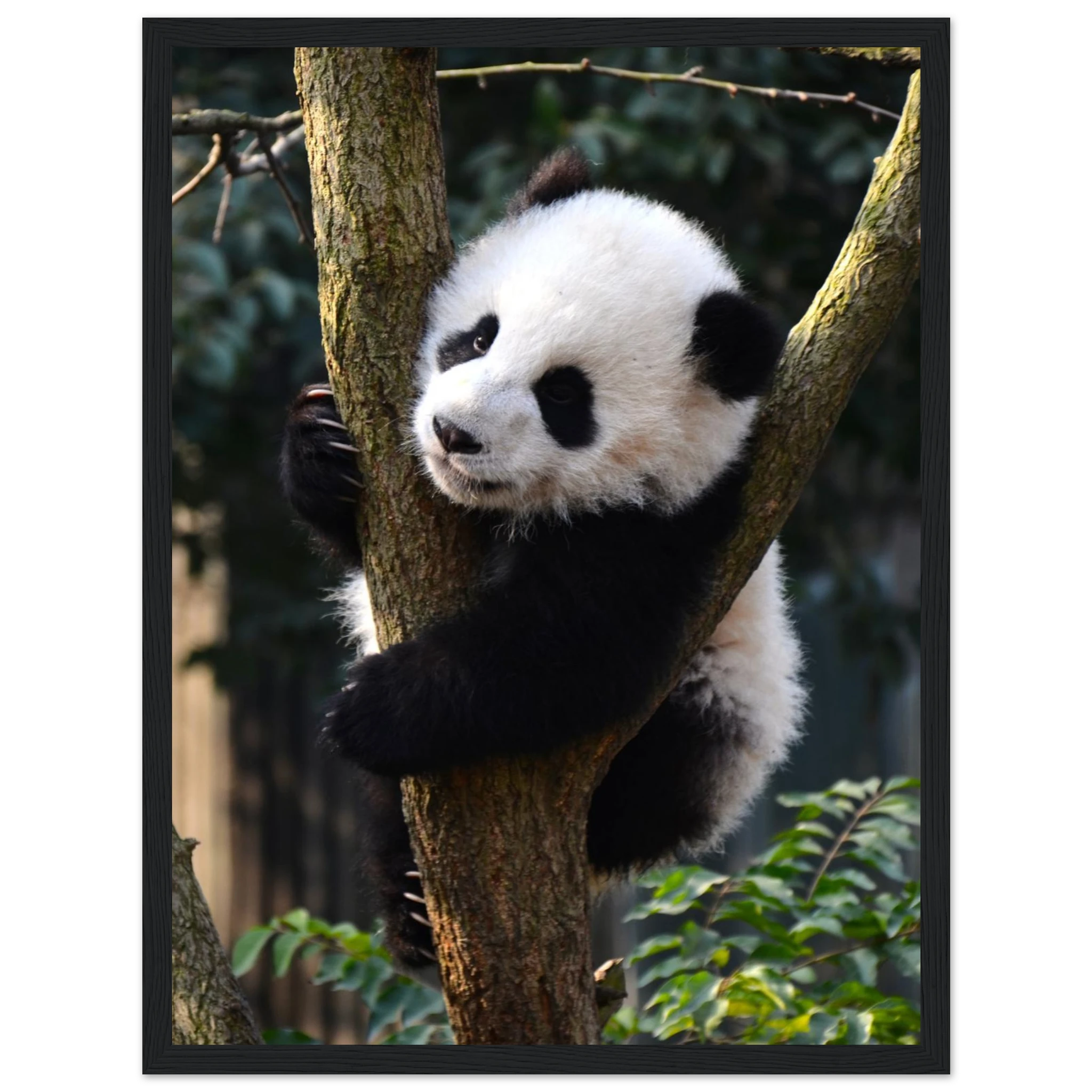 085e4697-bb51-4d37-b6a5-74b3b38ae01a