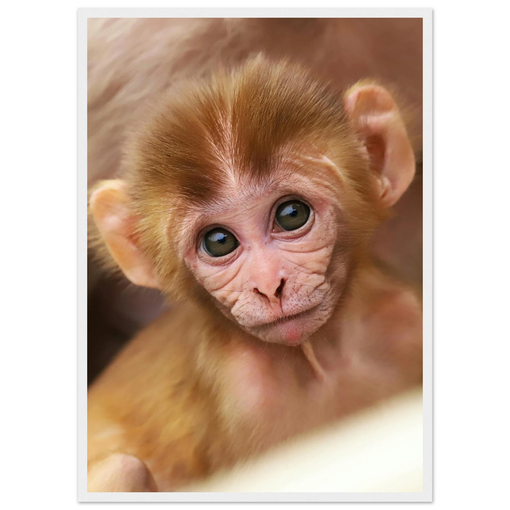 08666490-d44f-4c34-ab47-8577d6997916