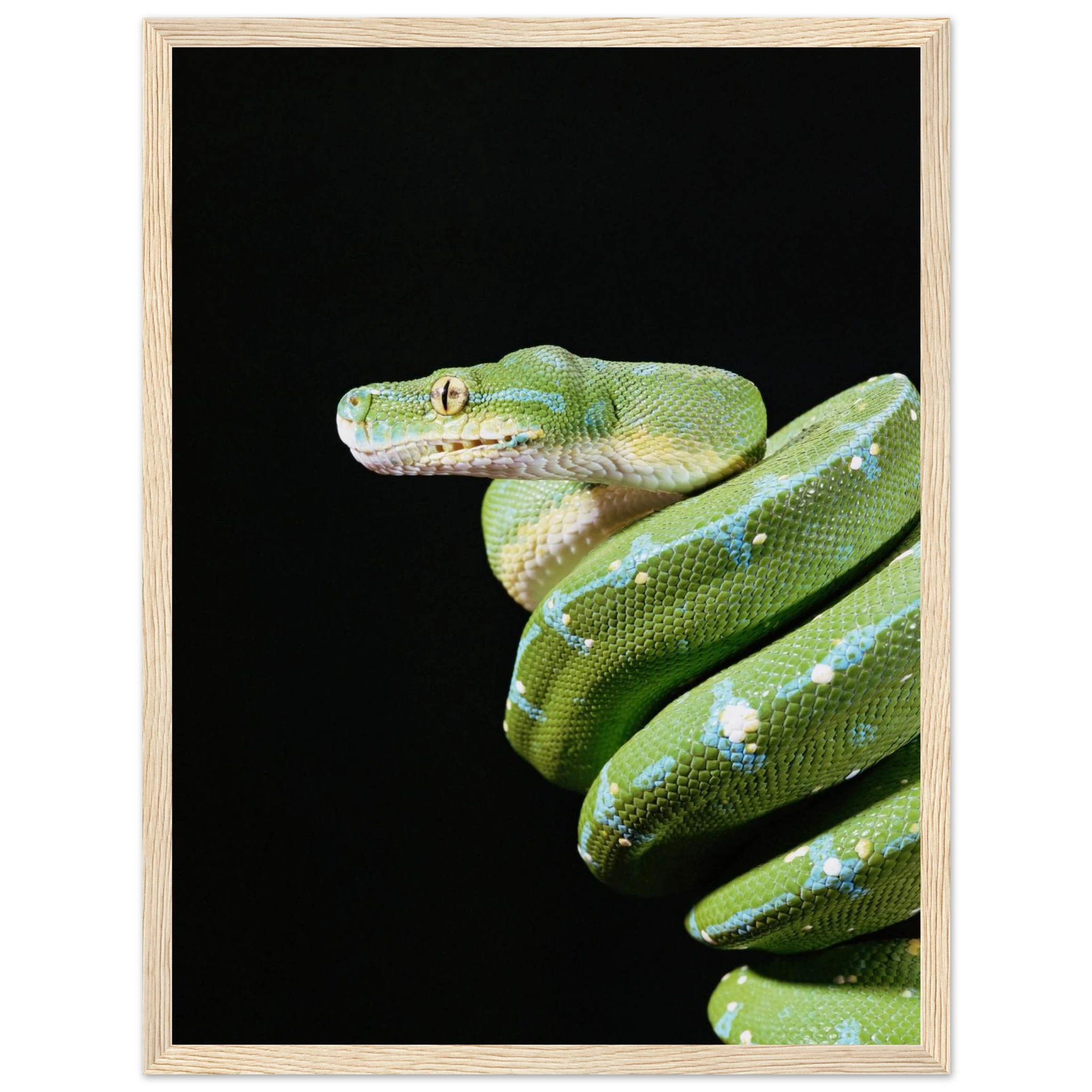 087aa7b2-81b4-4d0e-837c-67a1a7654b60