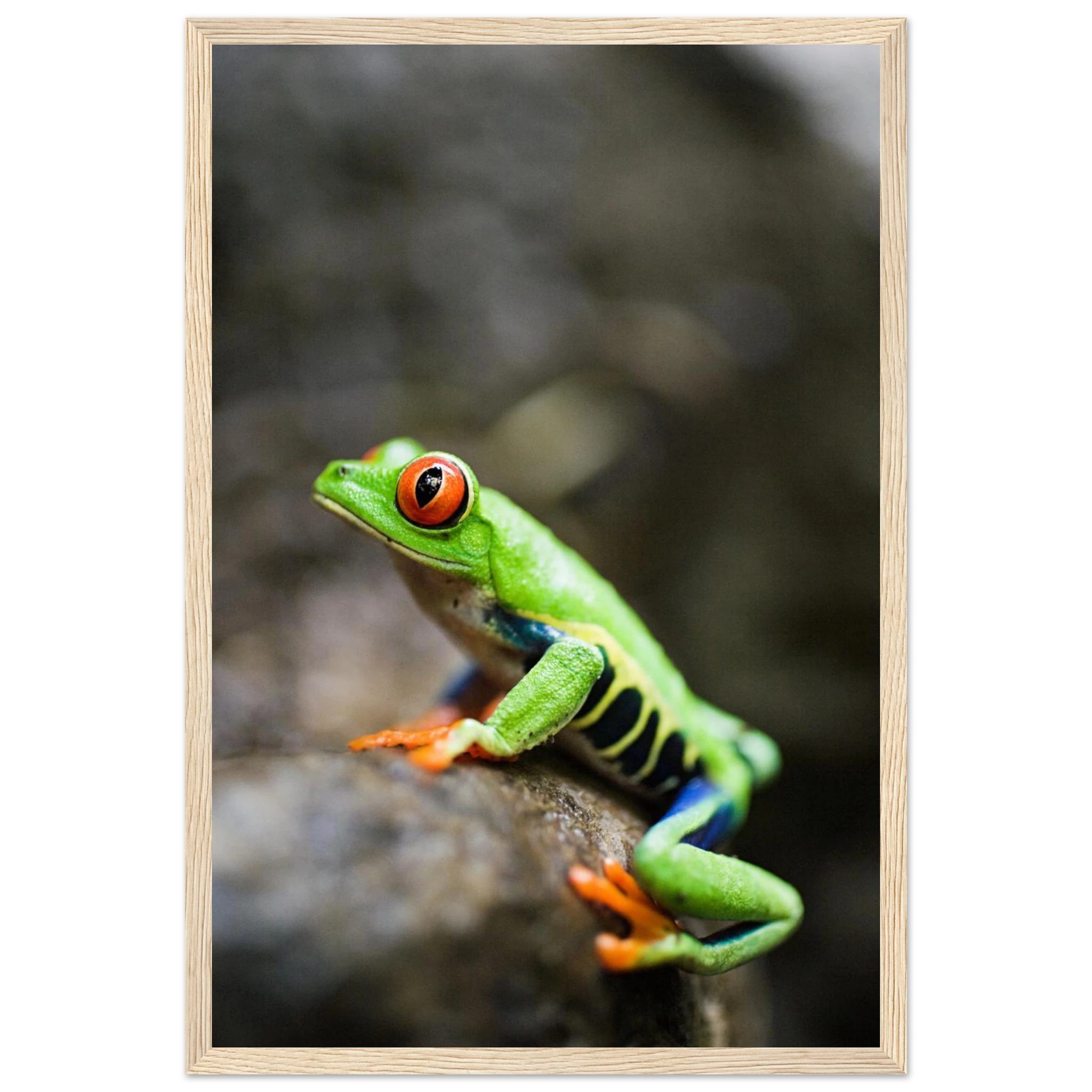 08838c32-7233-4b7c-bddb-72238976c6d2