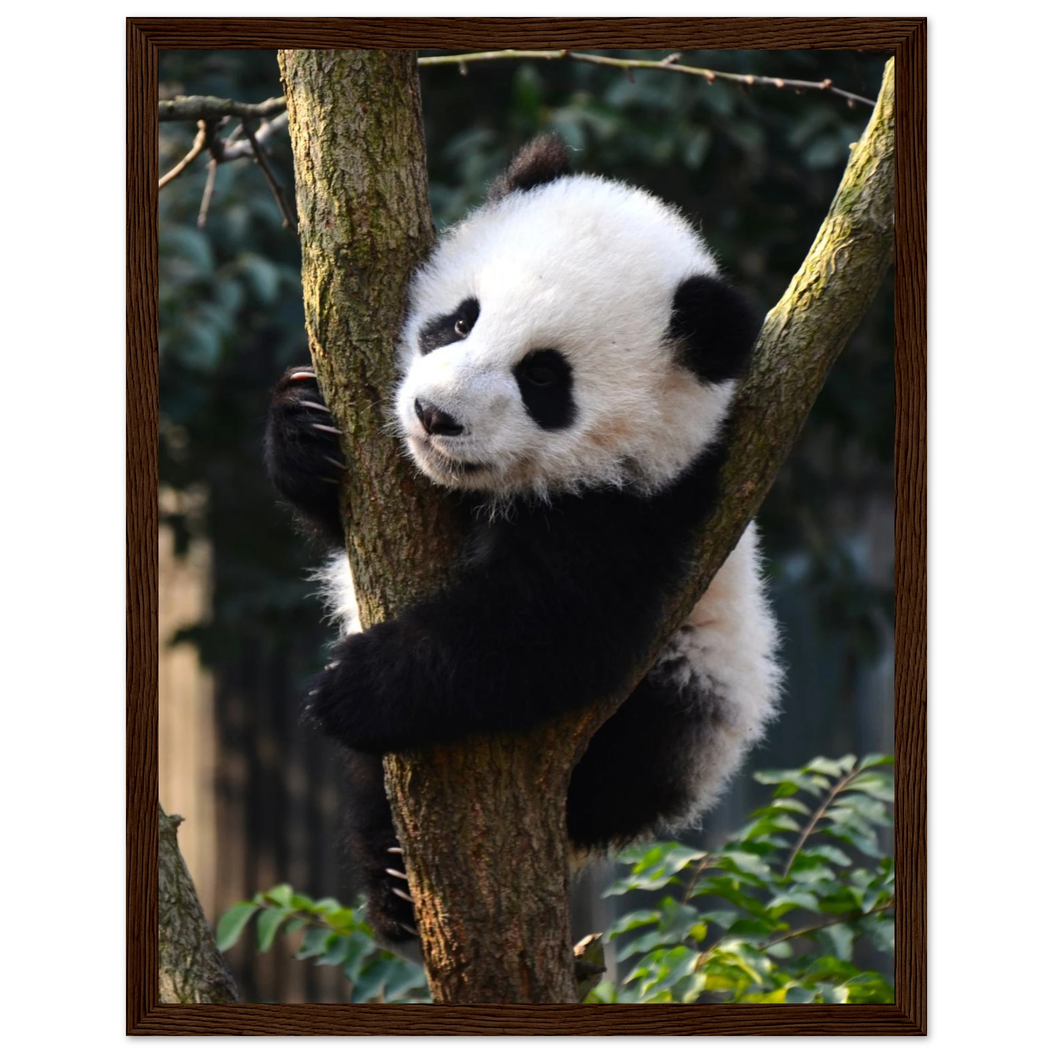 08a88d87-e74d-484e-8bab-e92e926f4fbf