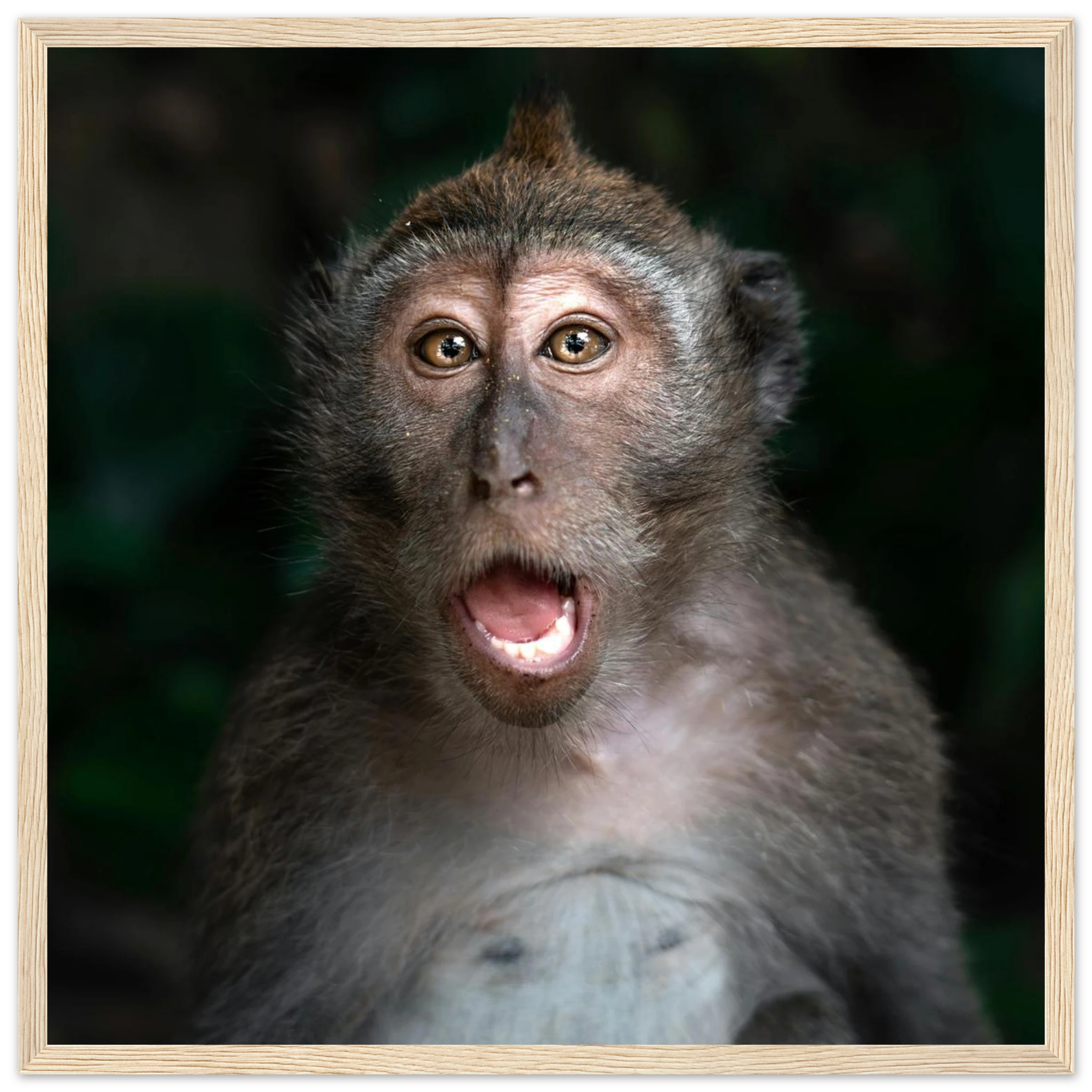 08bfa4ef-094c-4684-89f9-602e66288522