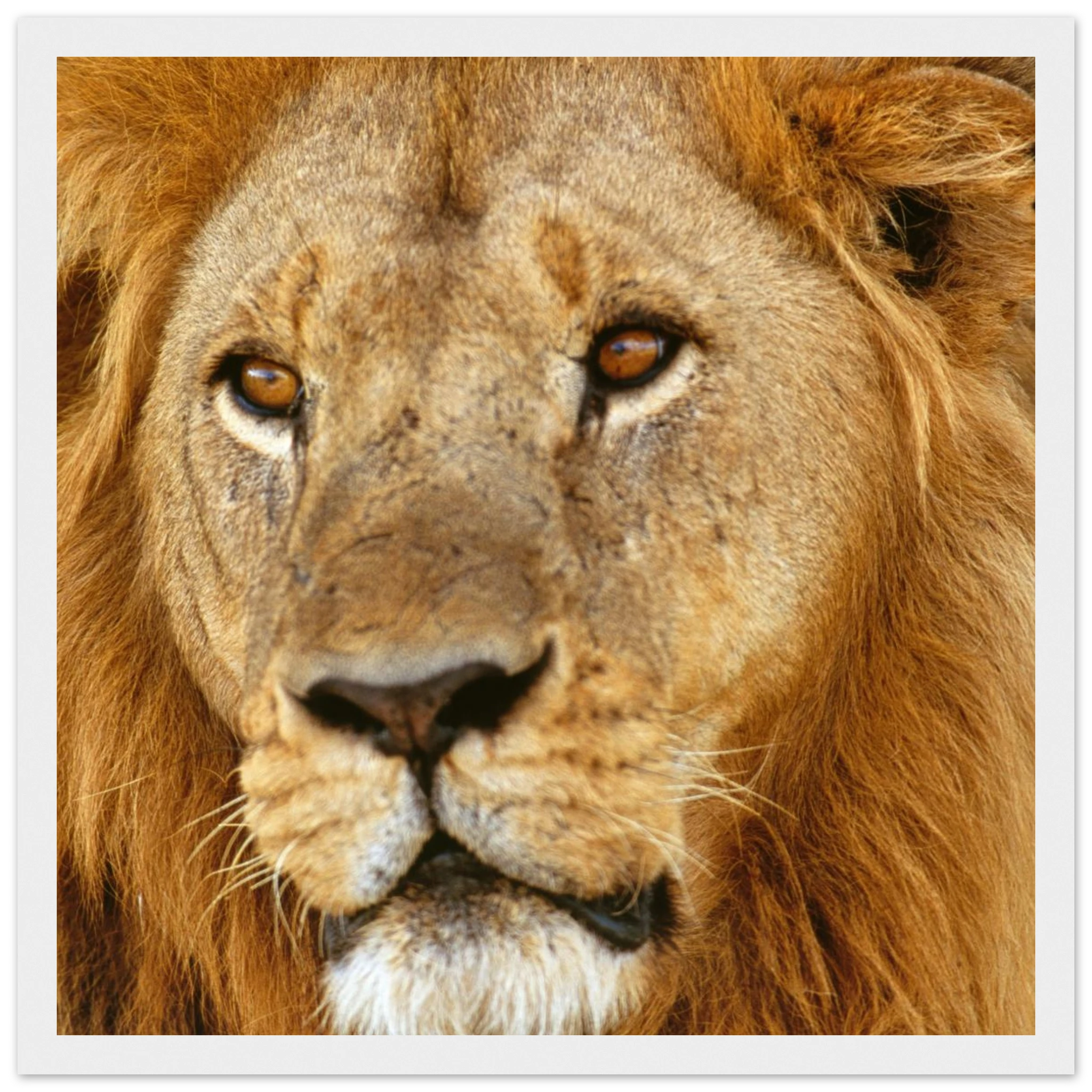 08cf5fb5-8d0e-4d69-94f9-dde94107242e