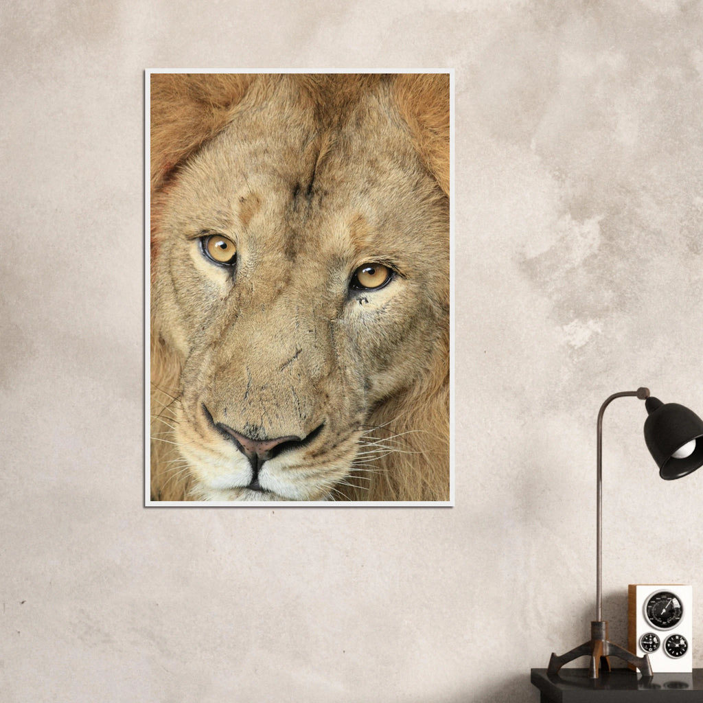 08df25a7-14fc-45bd-9fd2-6f9f6618fd9e