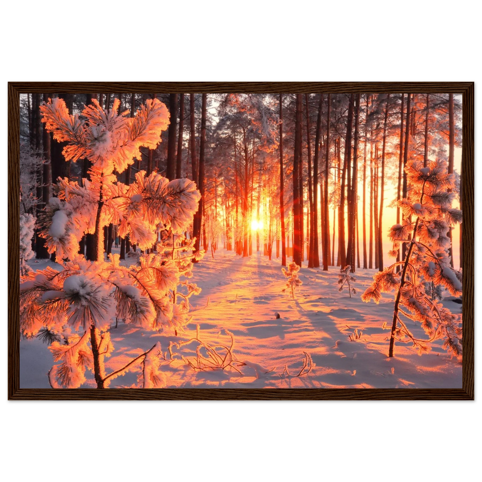 08f3d04d-2038-4c4b-97e9-e05bb28b99f2