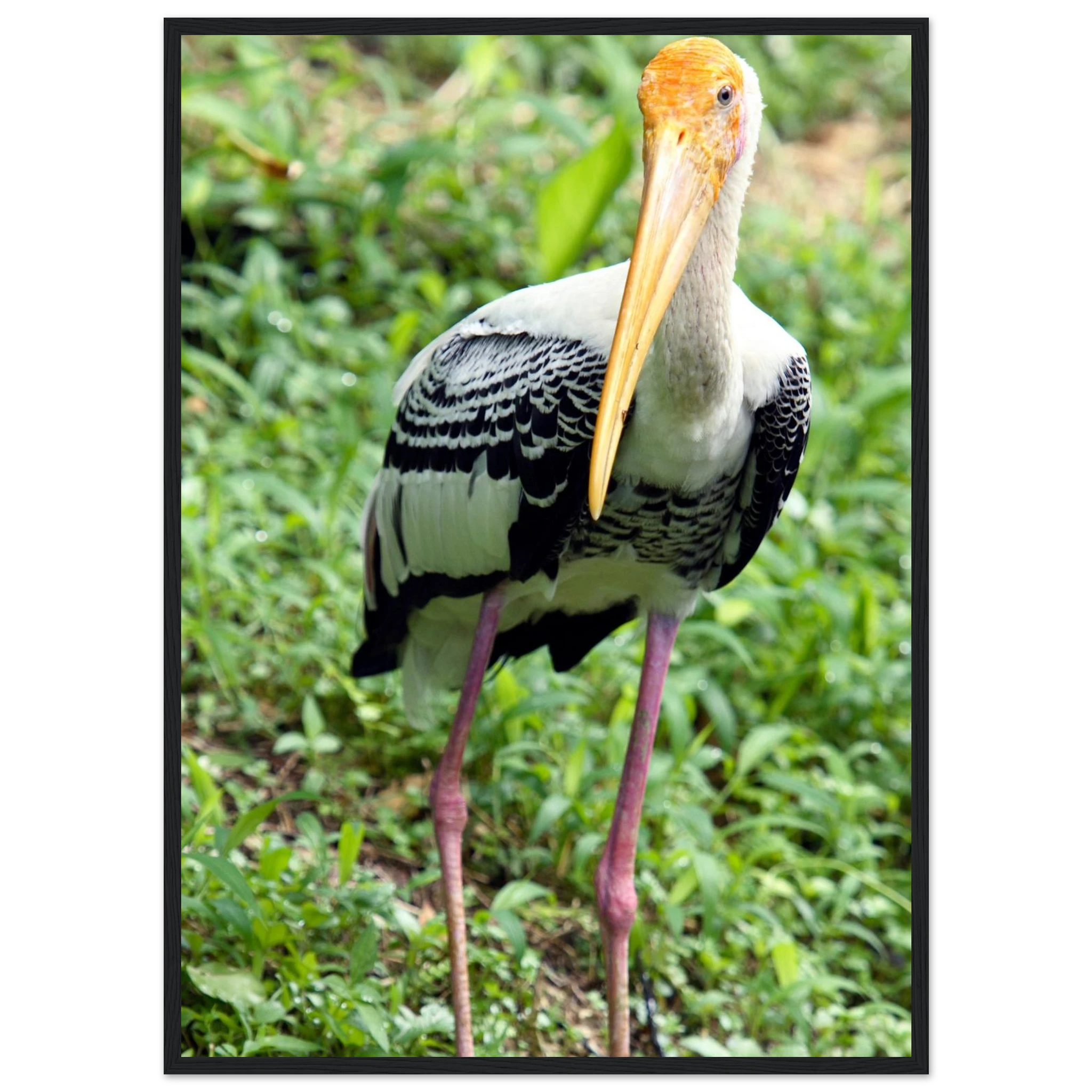 090549ec-74d6-427a-be83-6f50518a91d0