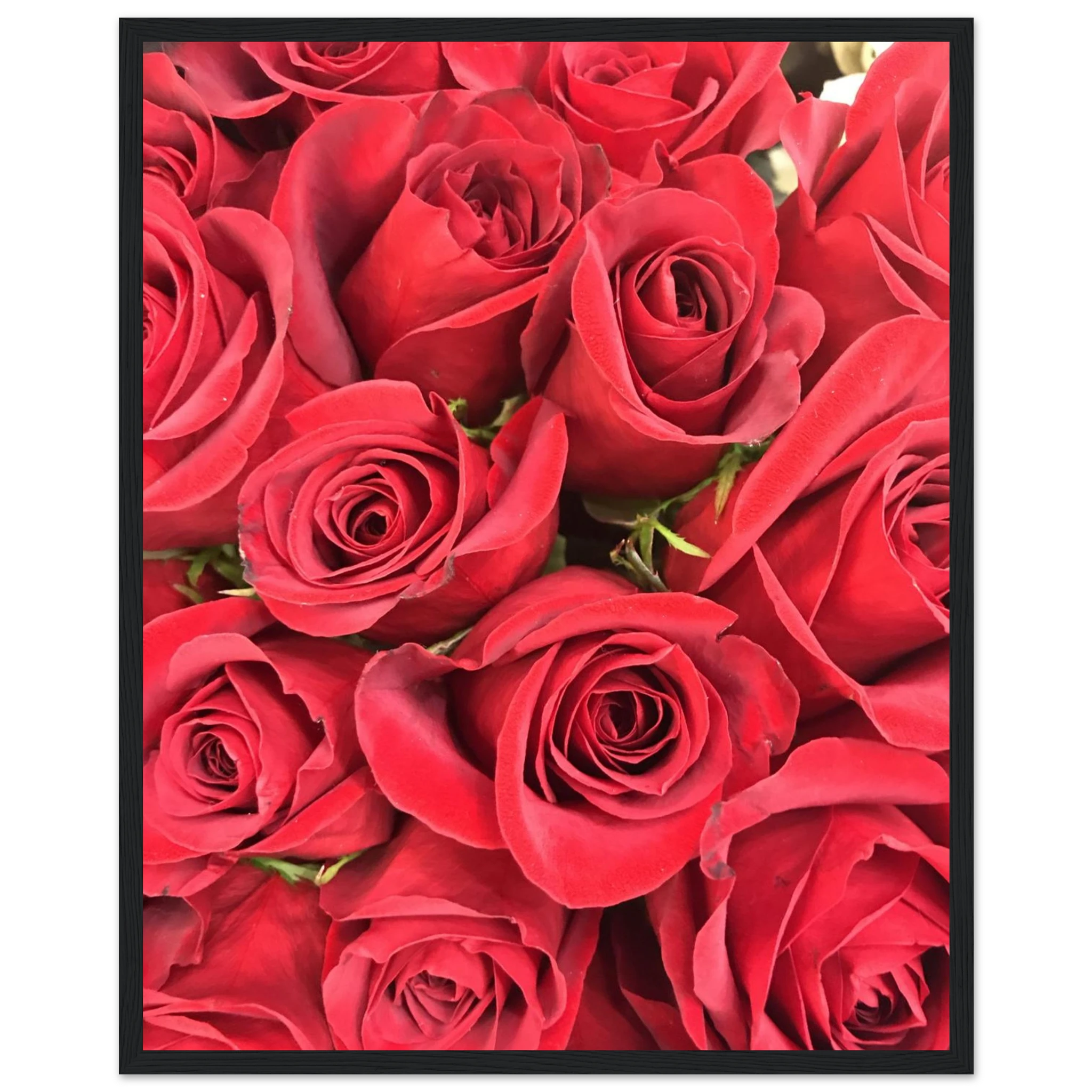 09078b9e-94c0-4e25-8f63-a6d002a87c26