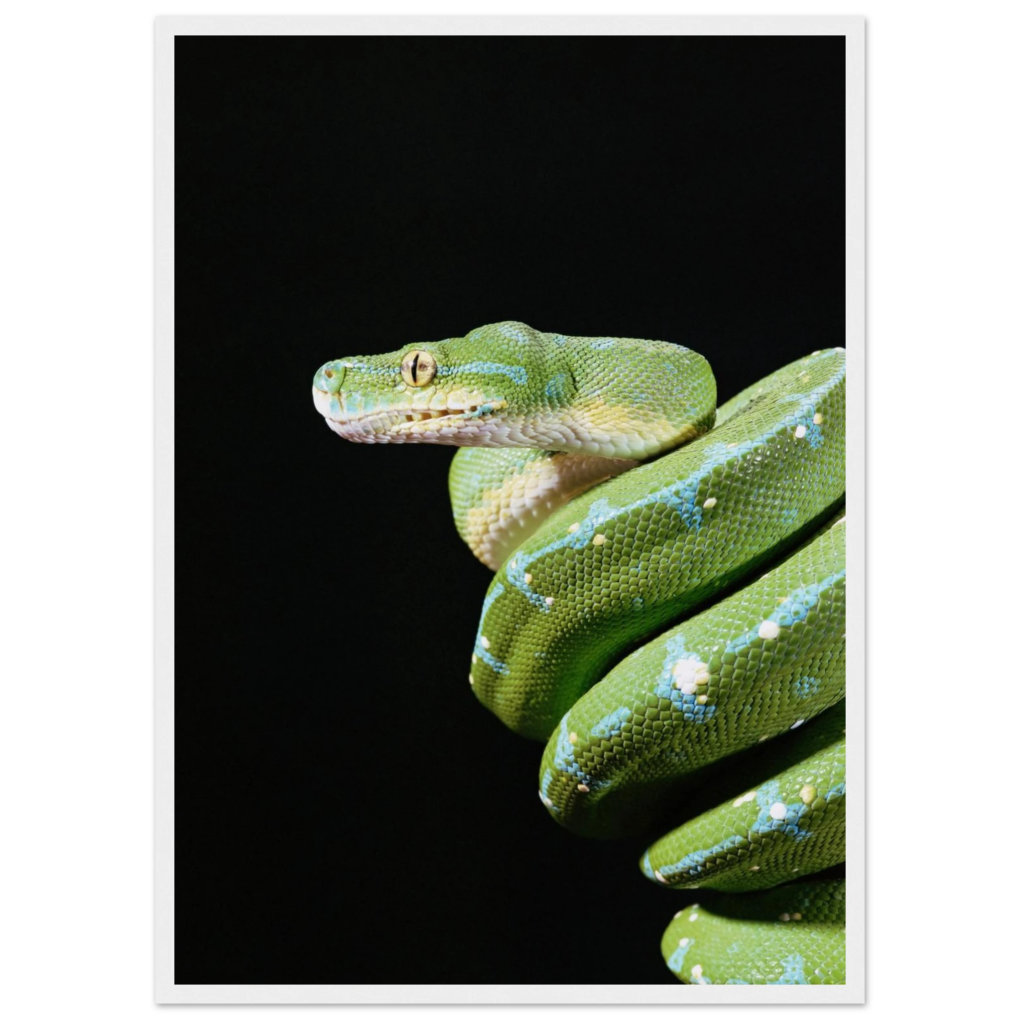 09265bd9-2bd6-4a5b-817d-c5501e2d3335