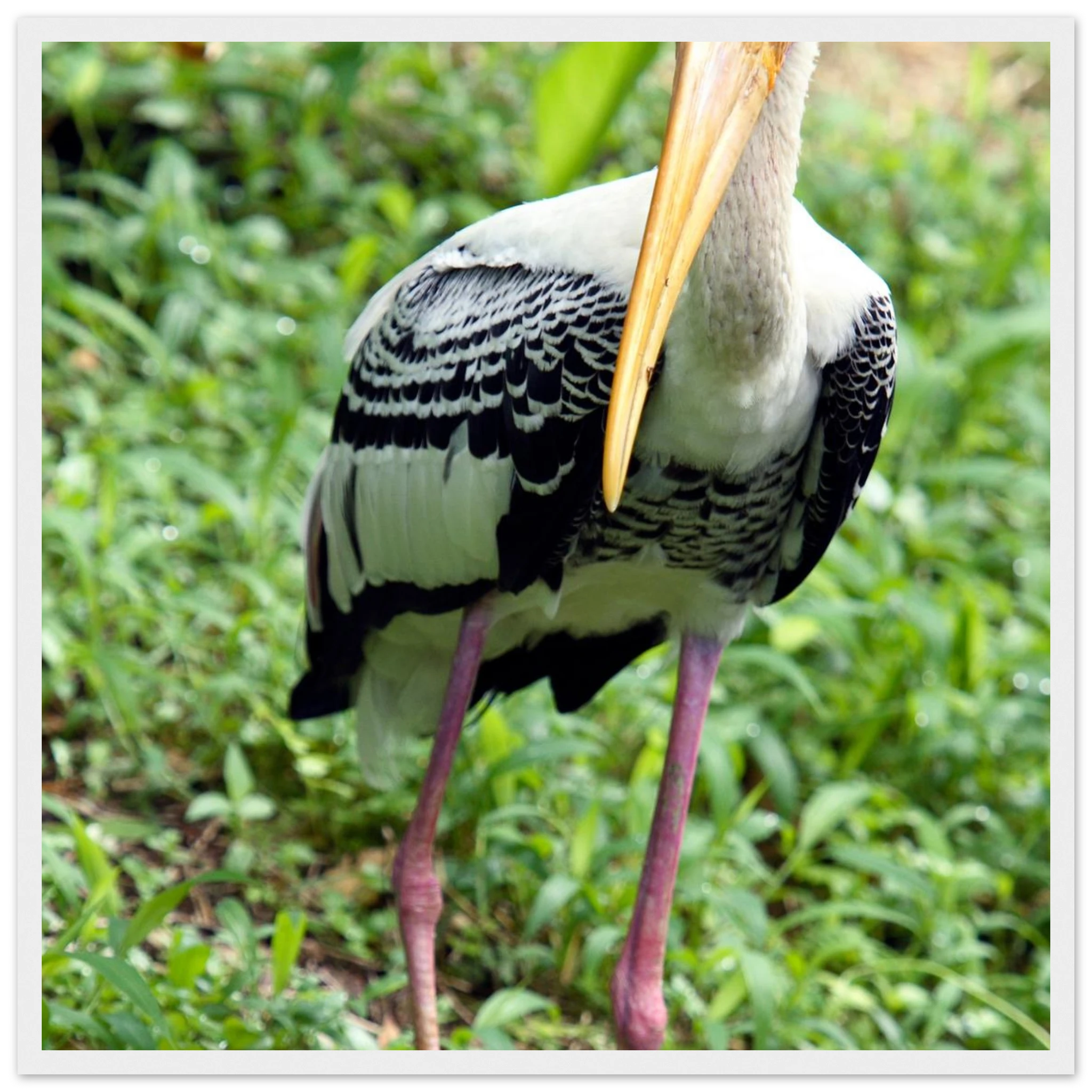 0965b4c7-5ed4-427c-bdf0-eea8c2b72c00