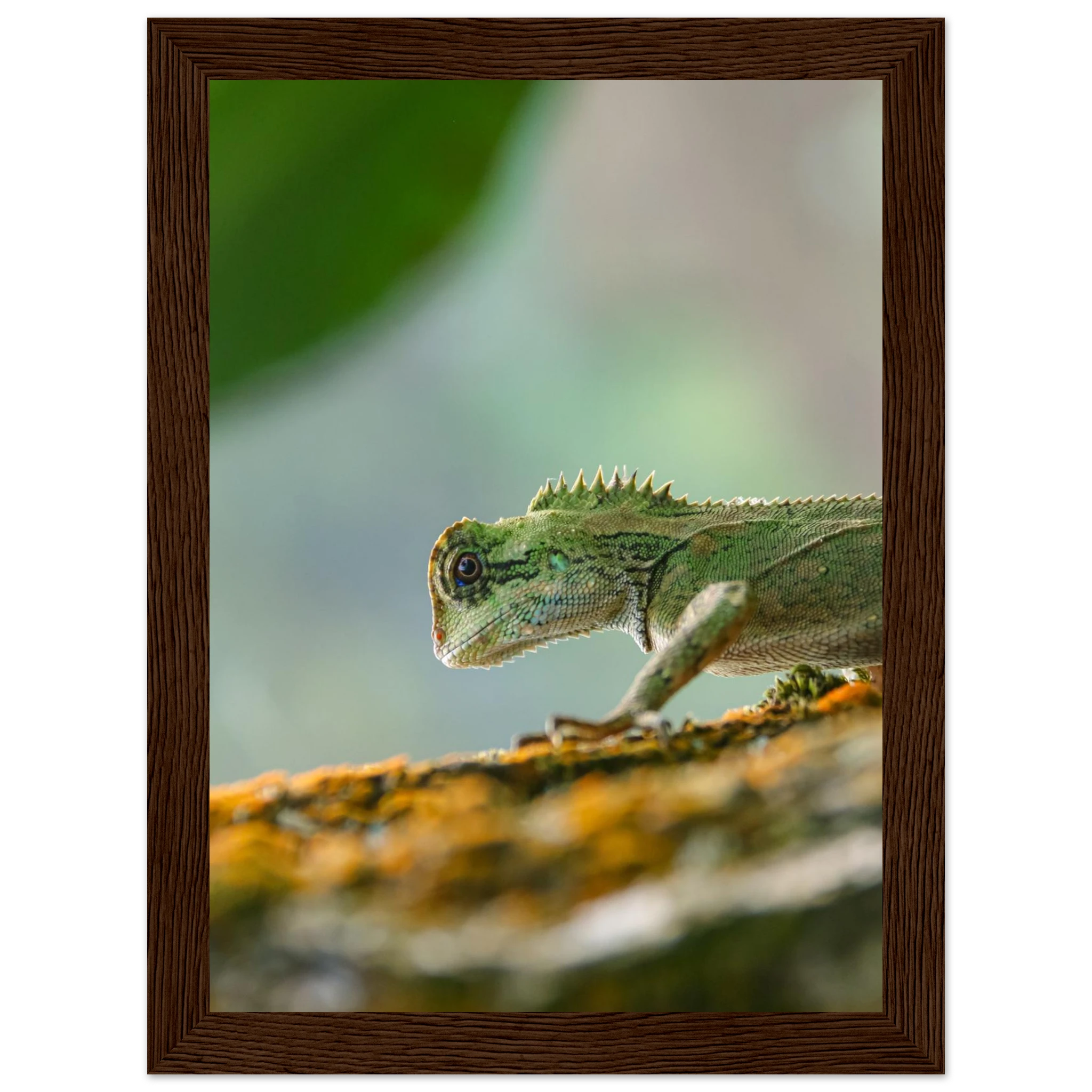 096609ea-2eca-41ec-828c-09e7d2a8e247