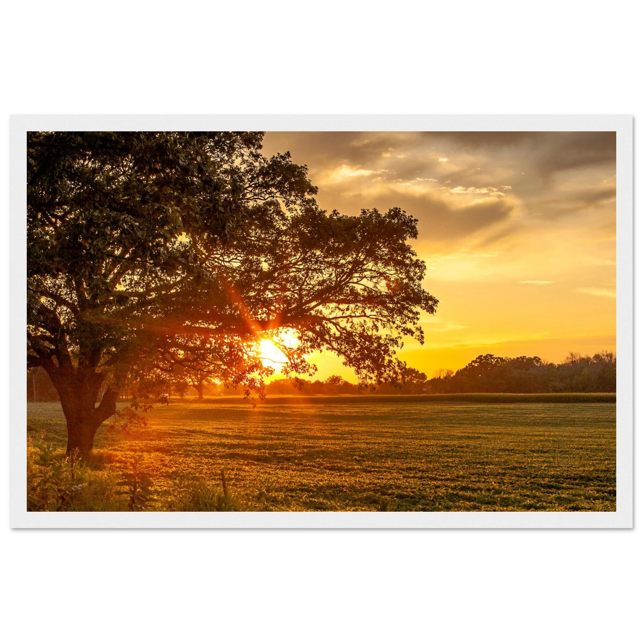 09866752-ea33-42c3-8467-754fc8b0a97b