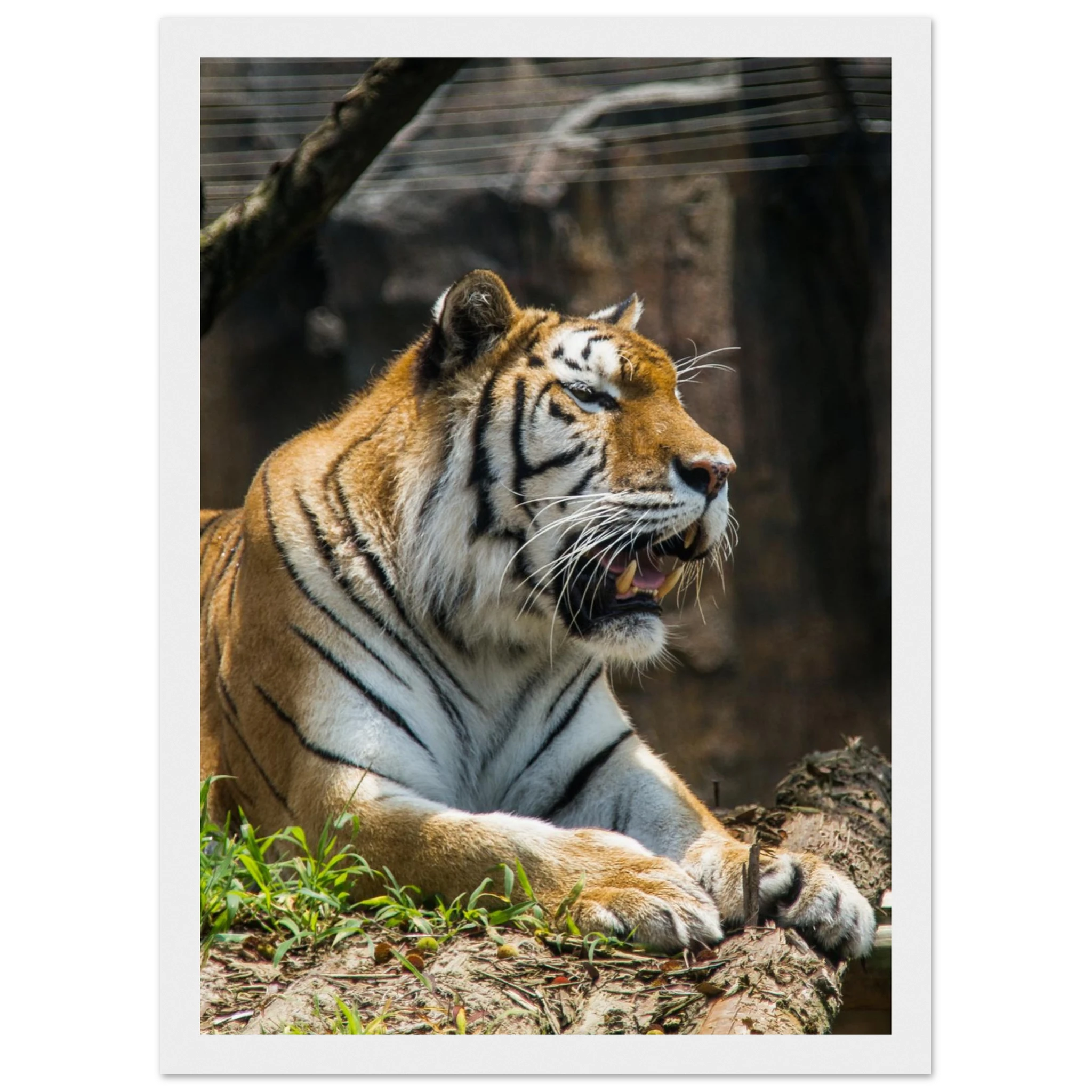 0986ab43-54f2-40d3-a58b-da3efbcd7fd8