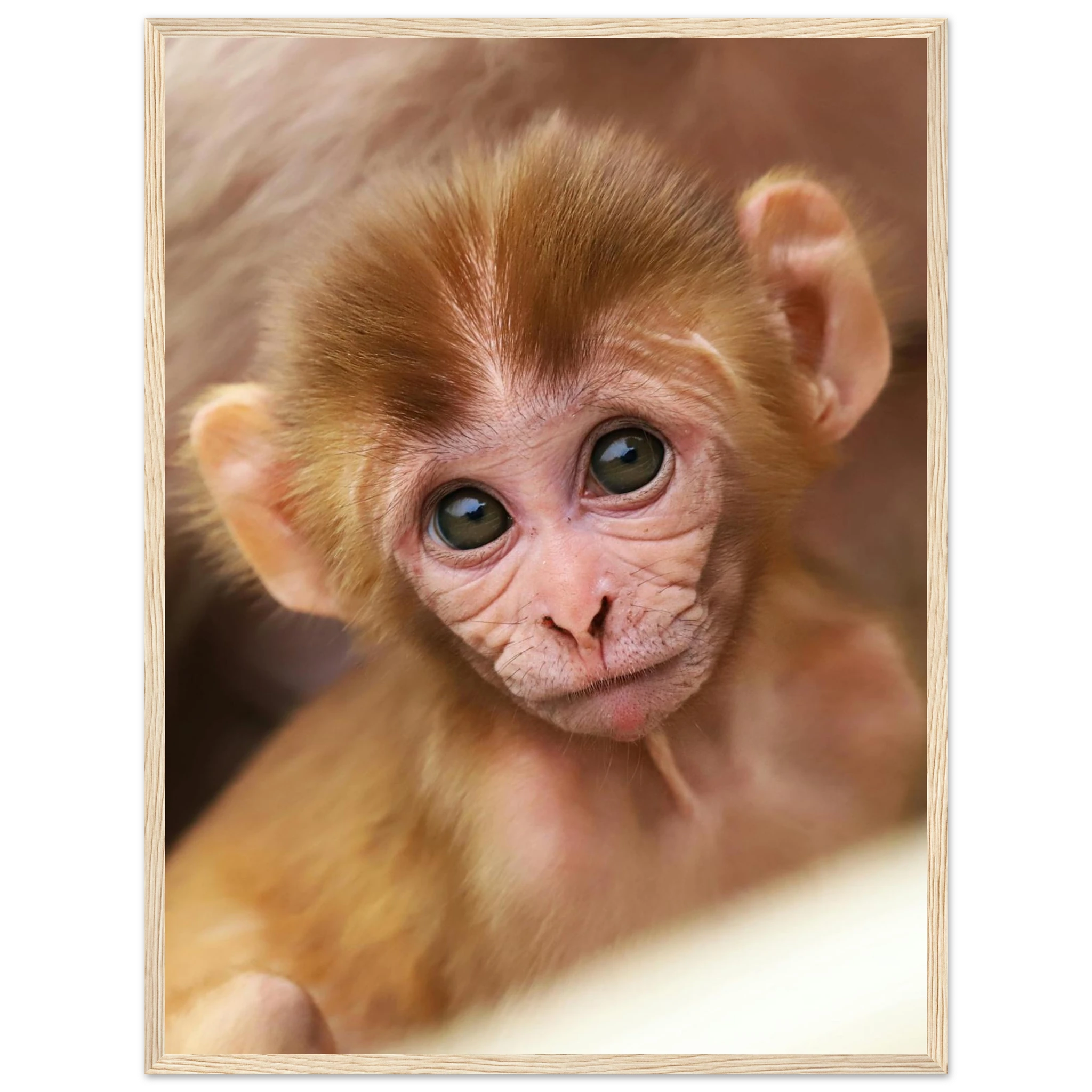 098bc93a-f0ef-4659-a209-9e8a40291310