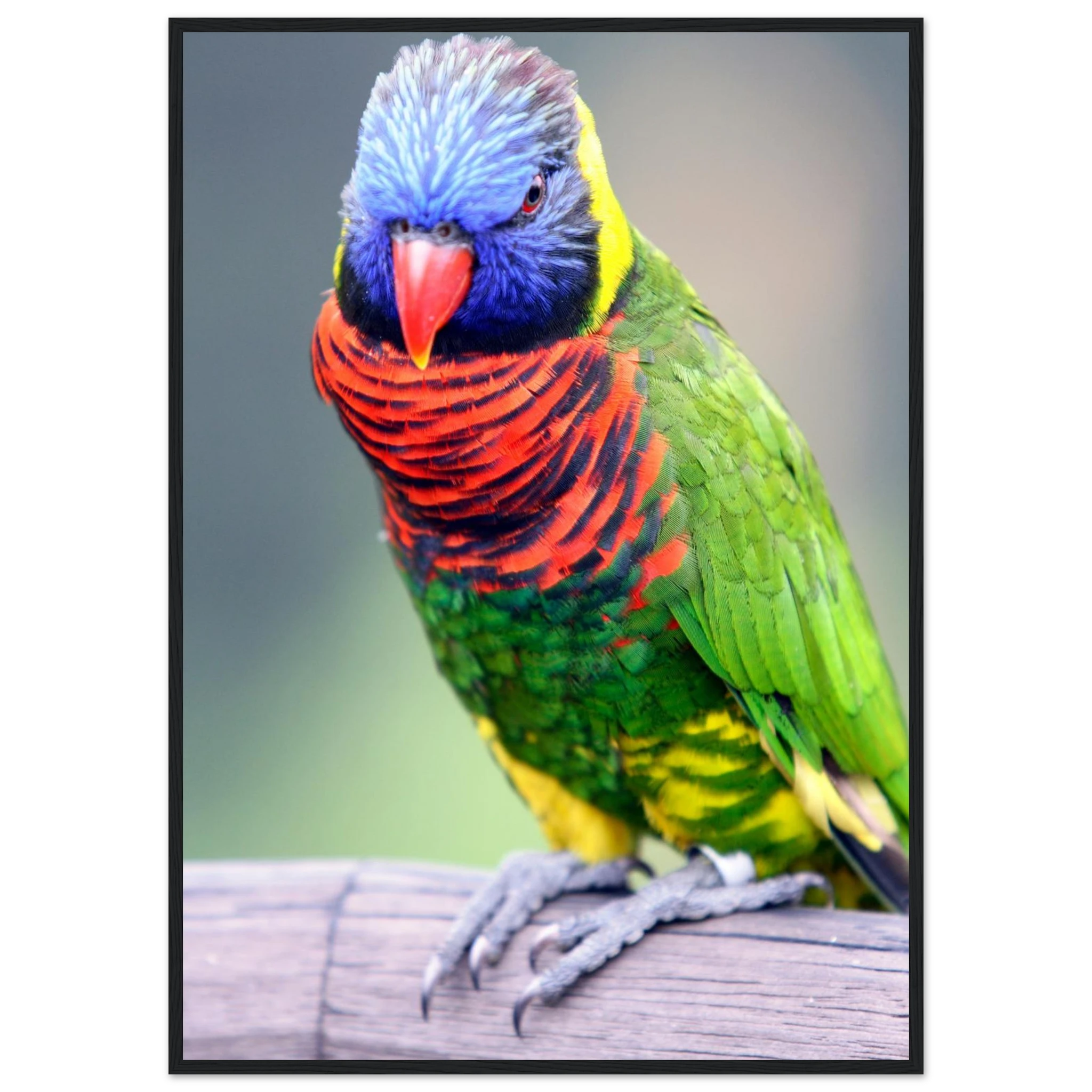 098be9ca-0679-4413-b0d7-ecef67ce85d2