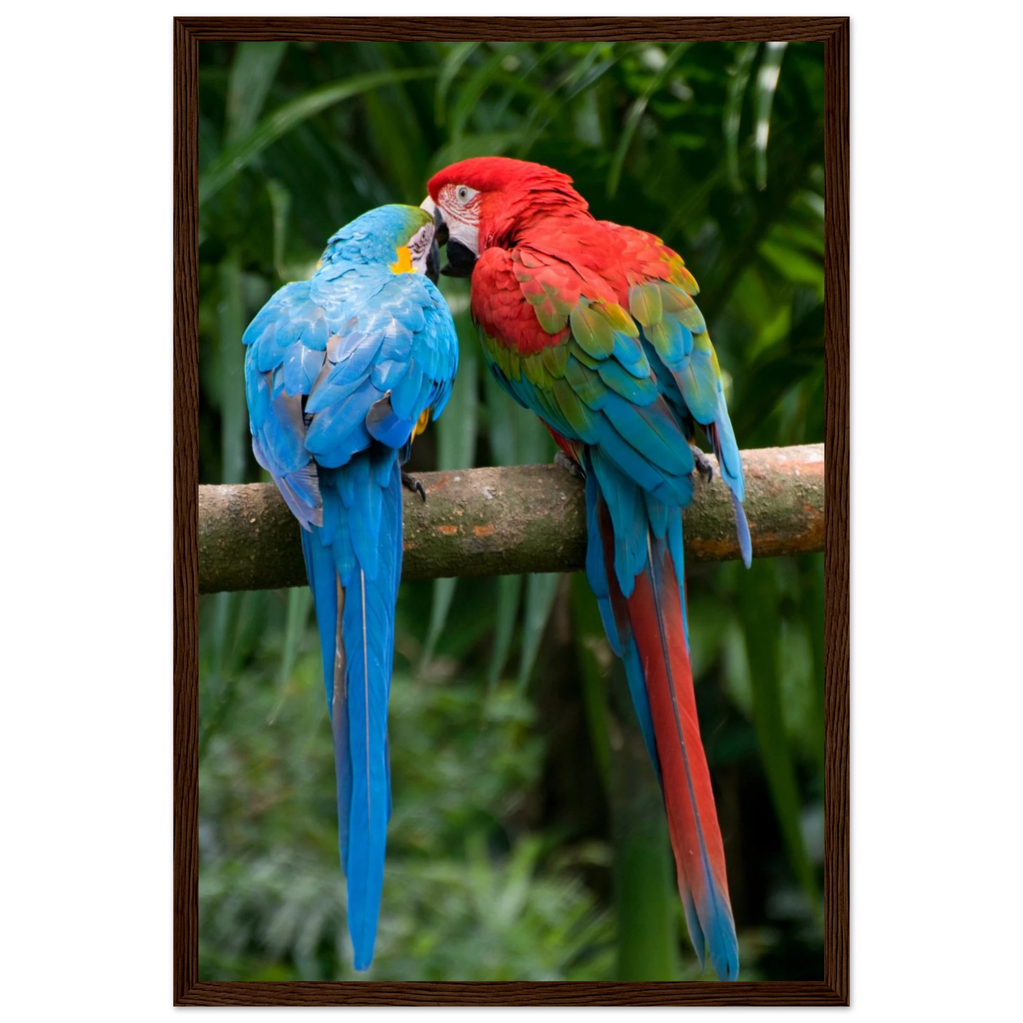 098c6bc2-c962-46bb-a356-54096ea25b0c