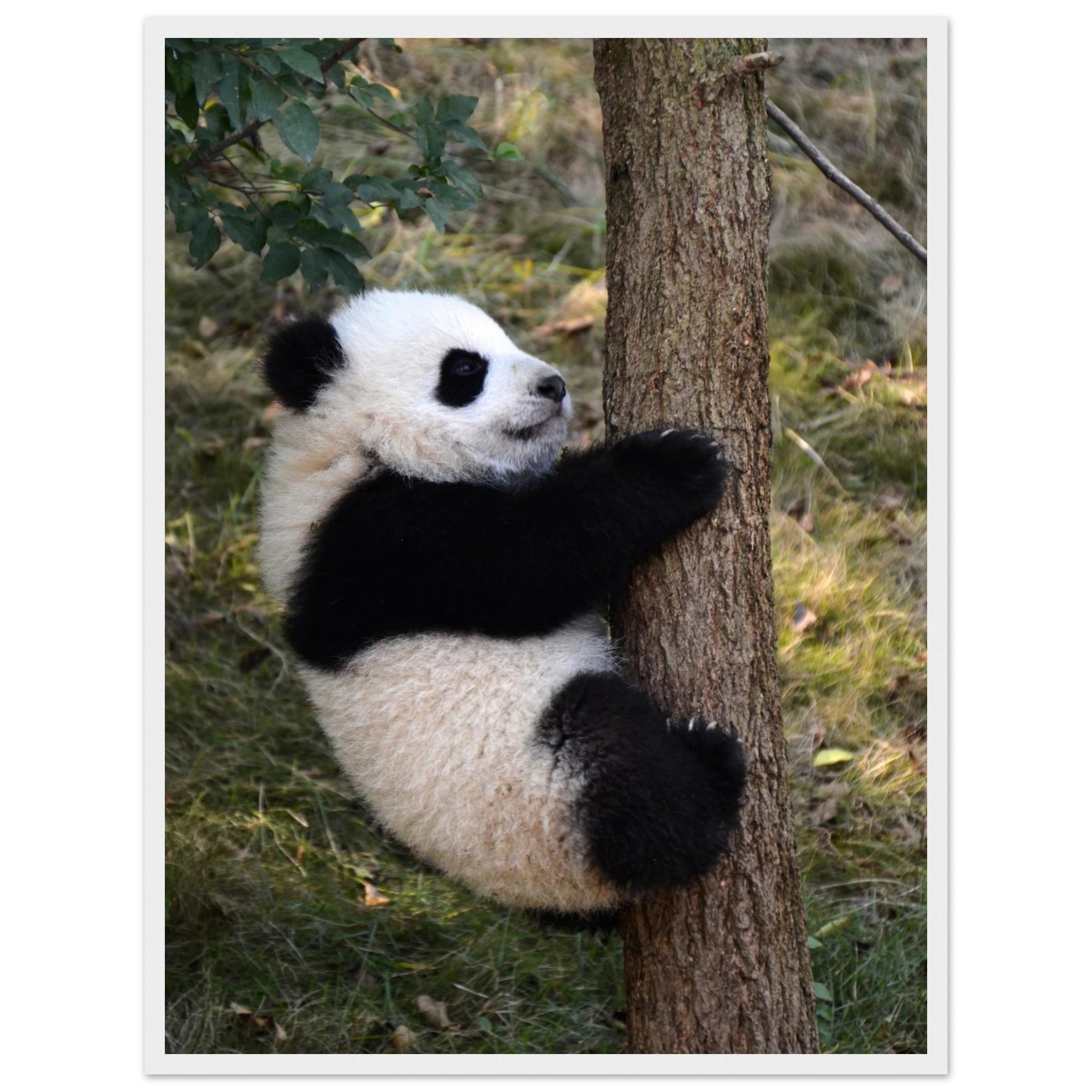 098d622e-1943-446e-af3c-b8a1ec9268d3