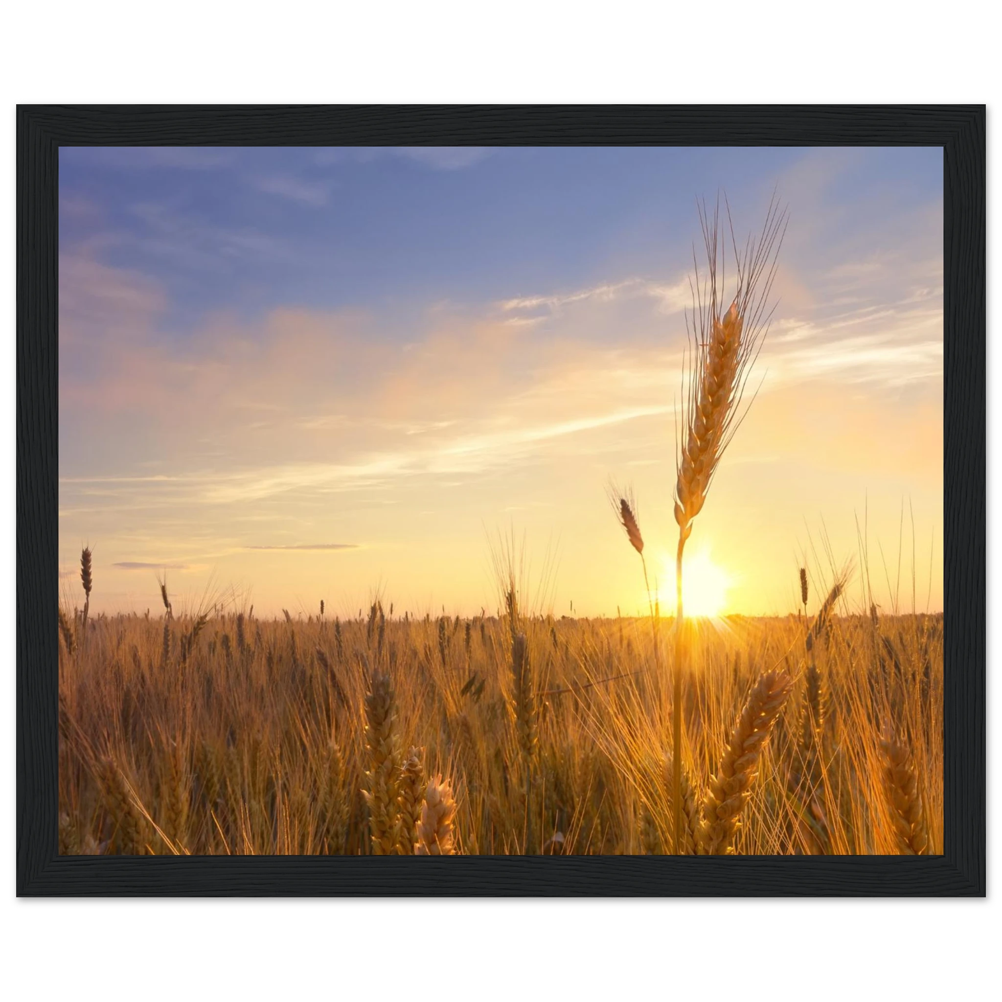 098efa07-3fcd-4778-87df-6004ae971e05