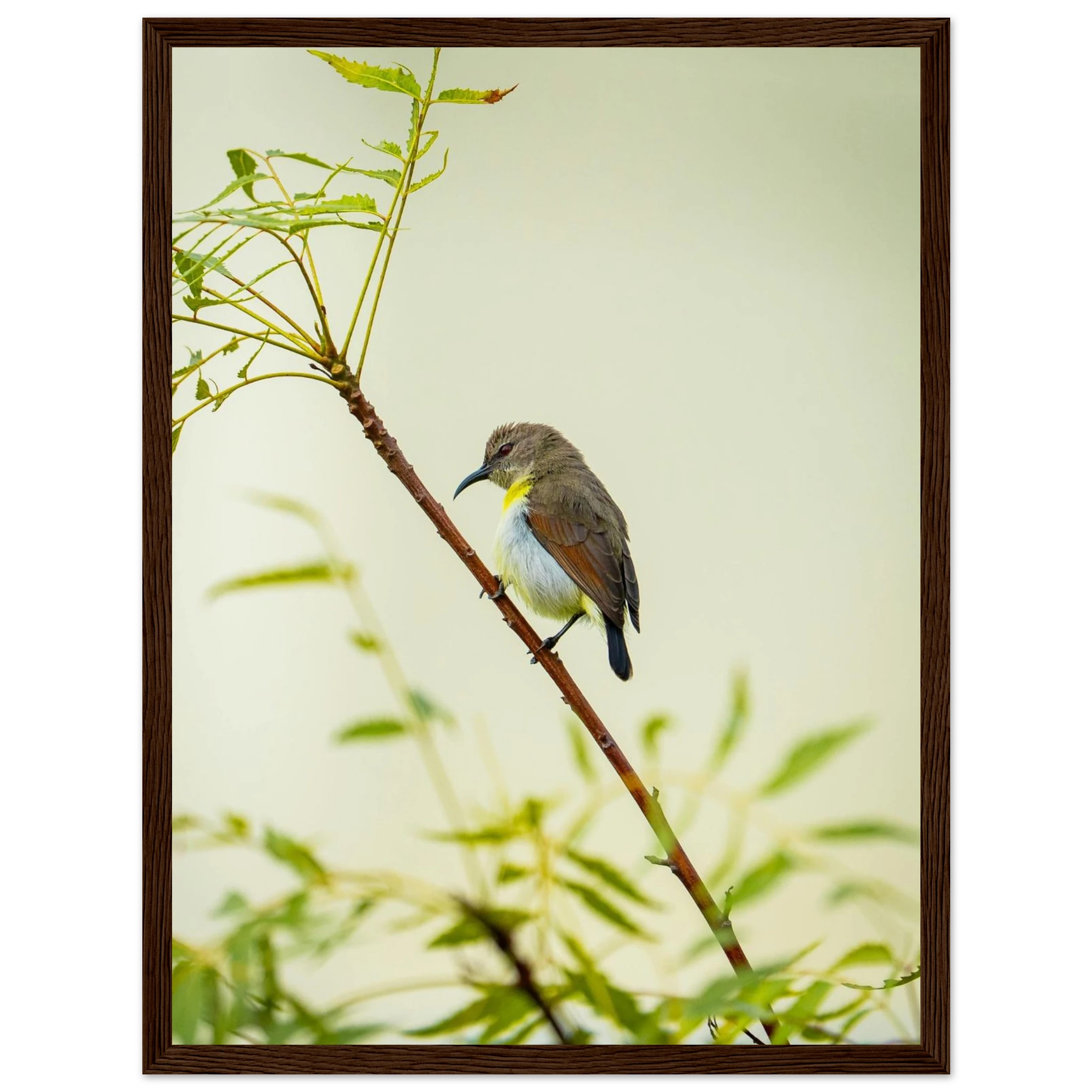 09cb7254-de08-49e1-ad5a-c31b3062e7fa