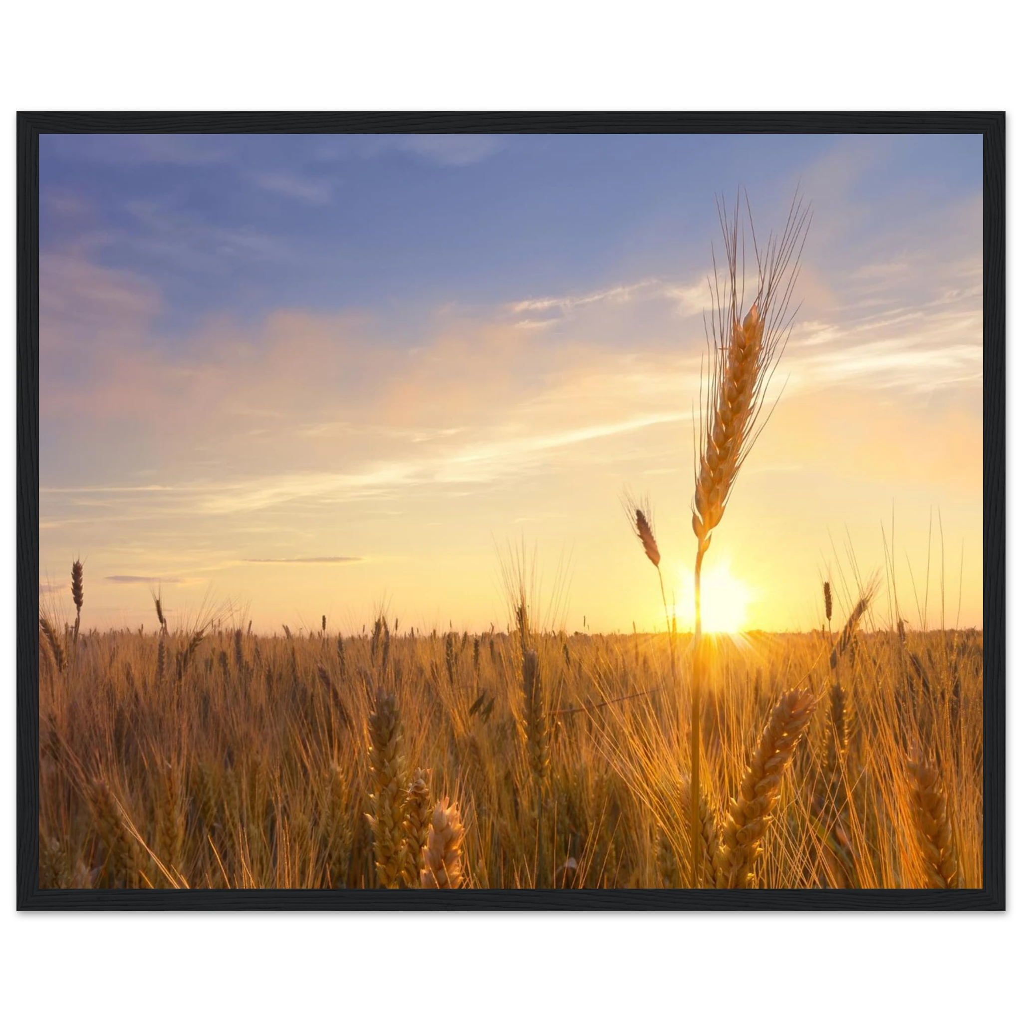 09e021fb-a717-422f-a8b1-1aff87e0e64b