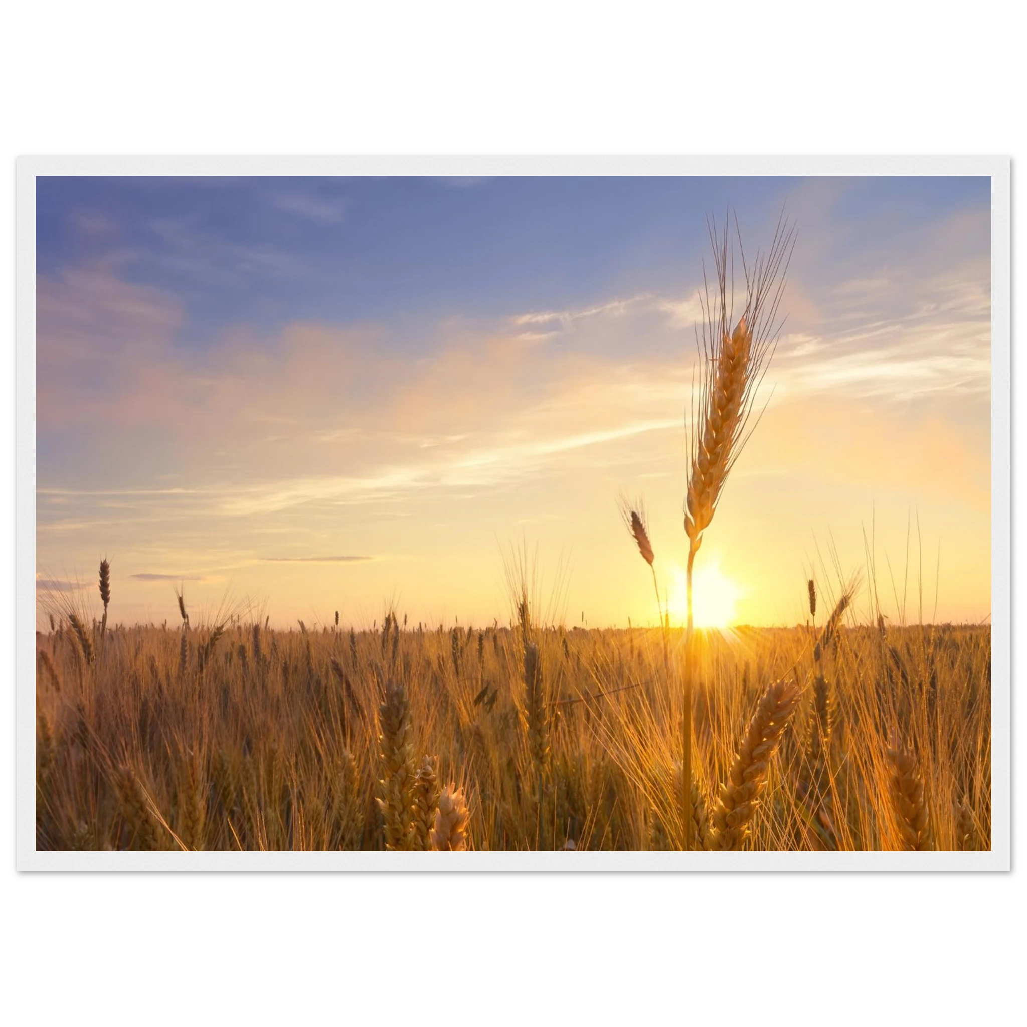 09f7cde9-c756-4989-95cf-54ace282fa77