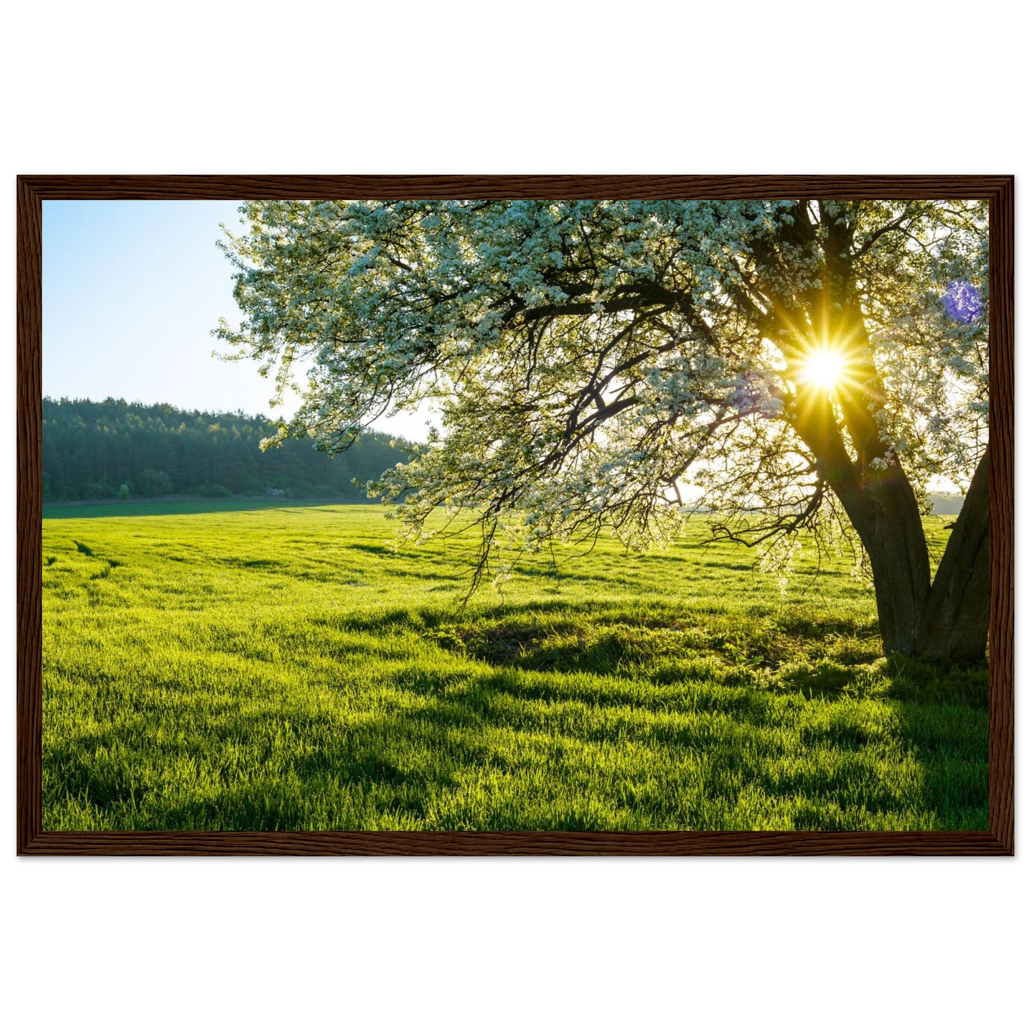 09f82f9a-159d-4f95-b497-c6afefea3d4e