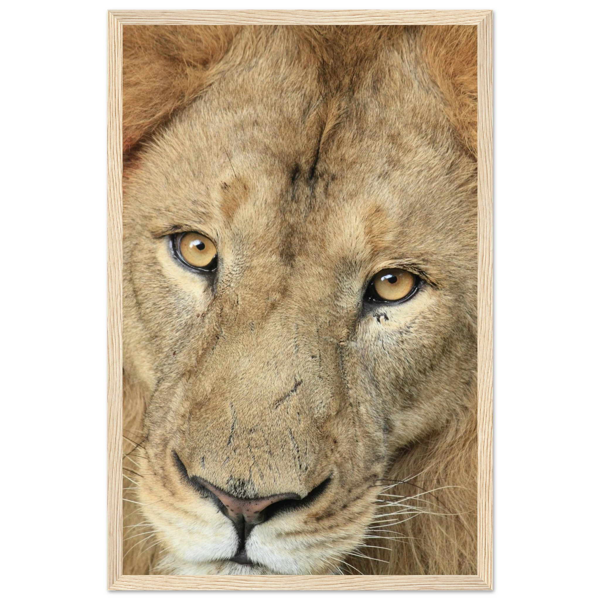 0a008eca-acfc-4d11-bbc4-af4585d2b961