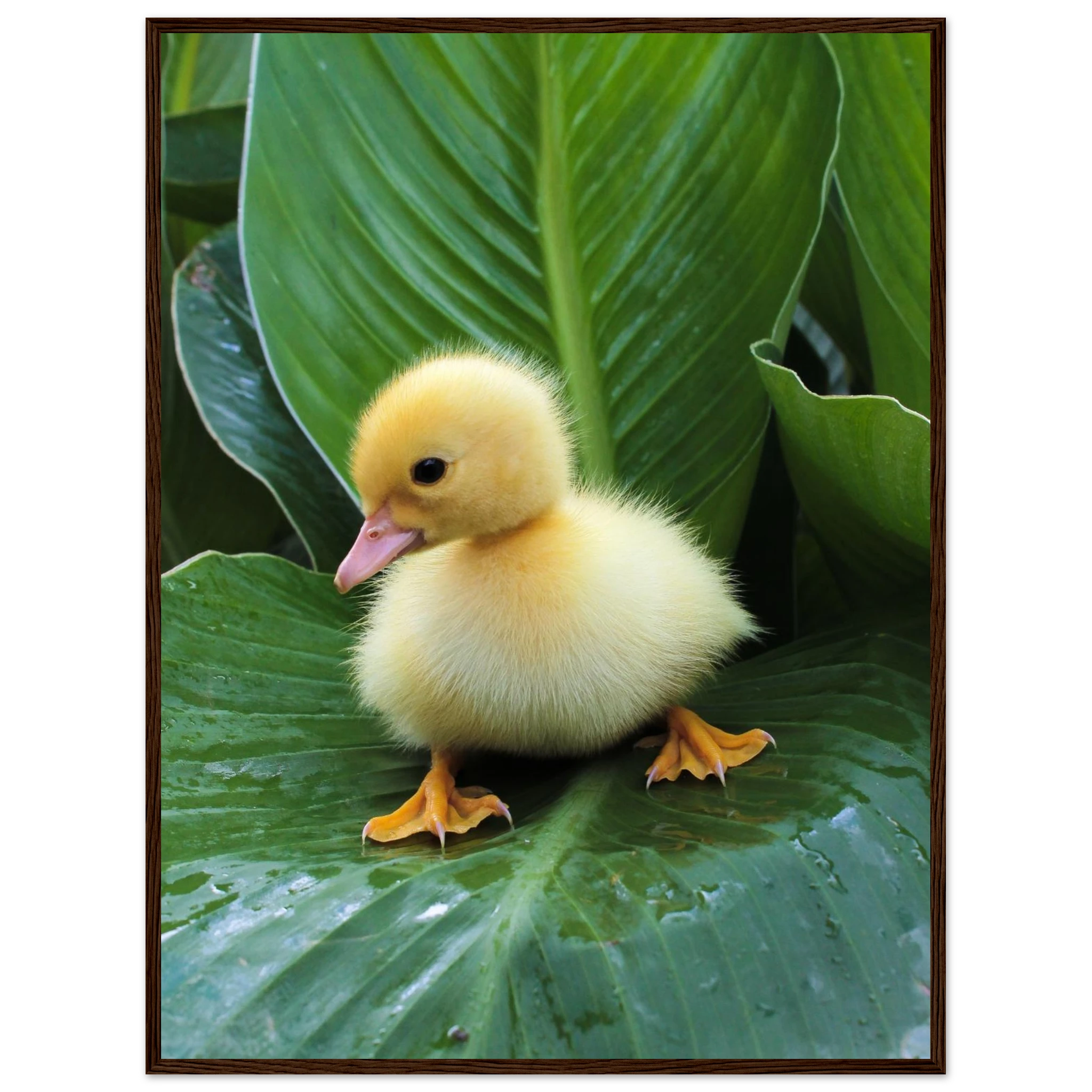 0a1d5ac0-6dc5-404d-b160-bf6cfed10607