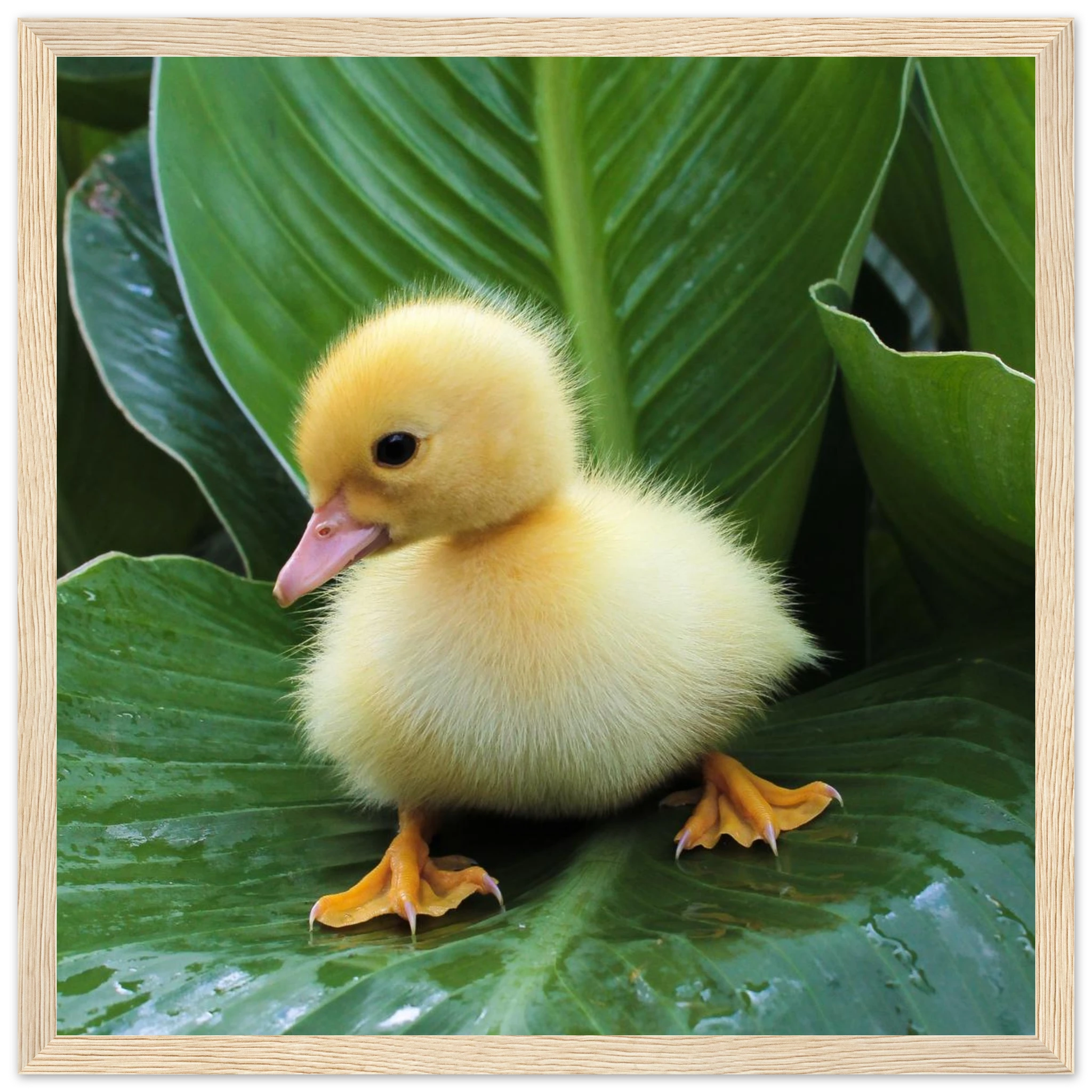 0a5c8f5c-4aa6-40ba-b7d3-ca184b9f1589