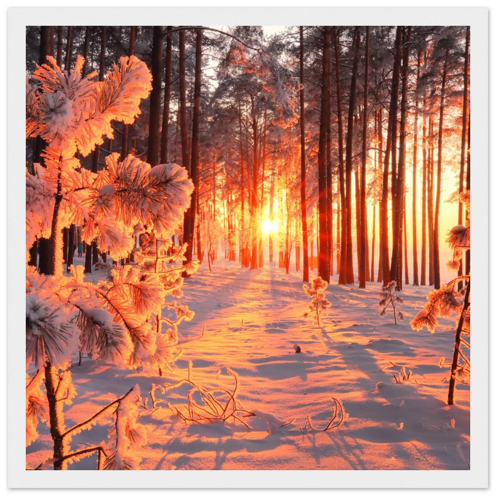 0a6402f5-0b1e-4fa5-95a0-635c4f8bff0b