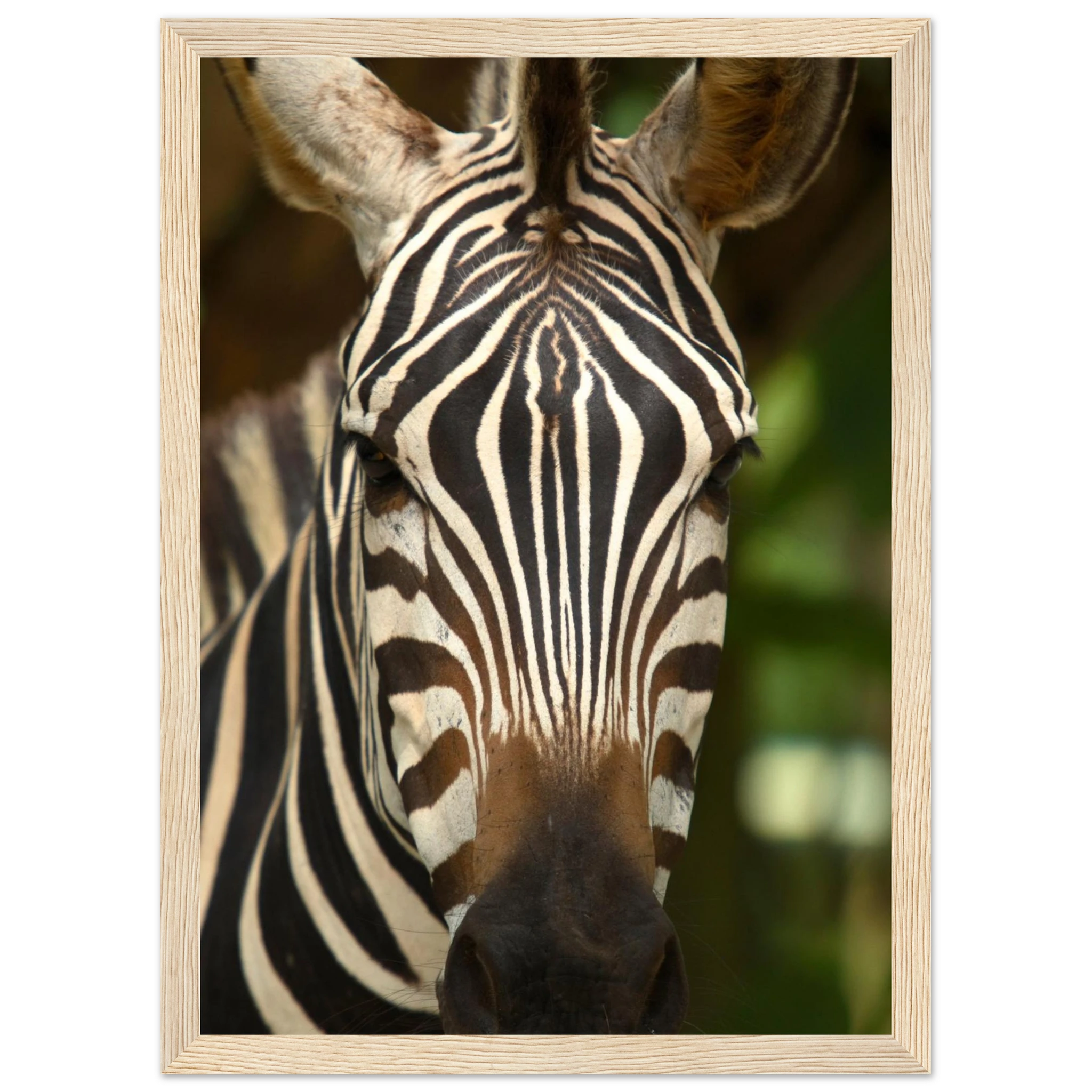 0a7bf952-2633-4dbf-8f9e-7b3e1c0c4099