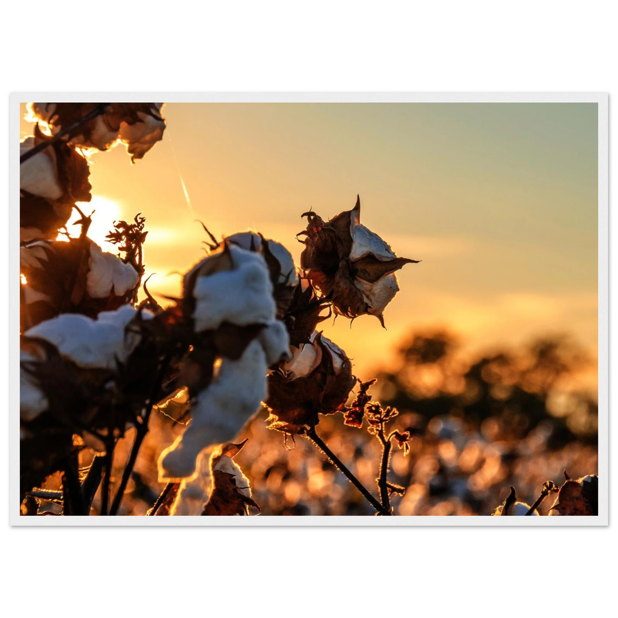 0a7dd16c-881f-4006-b784-5ef78f8f4ffe