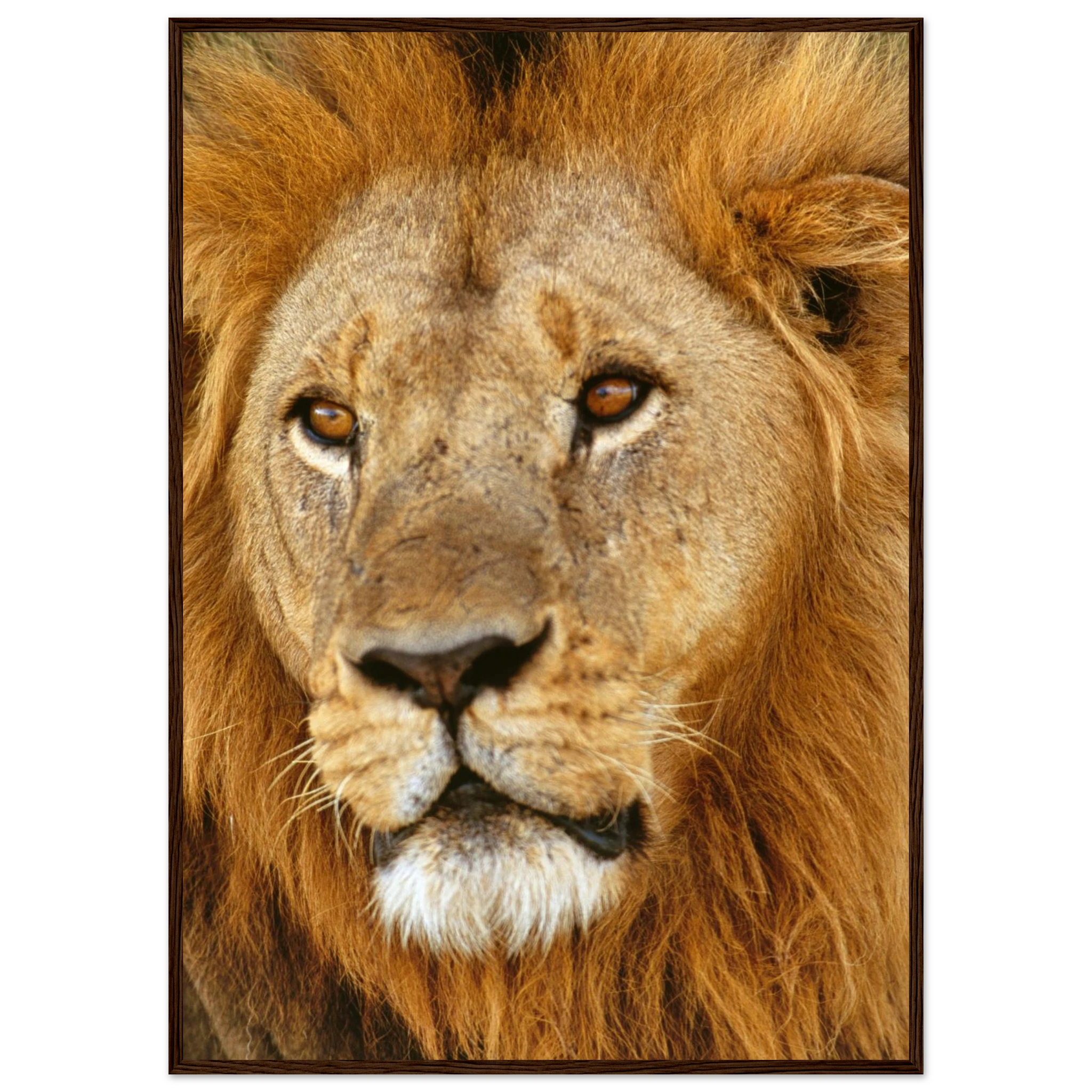 0a839b75-5327-4e1b-8c67-befc04a35a32