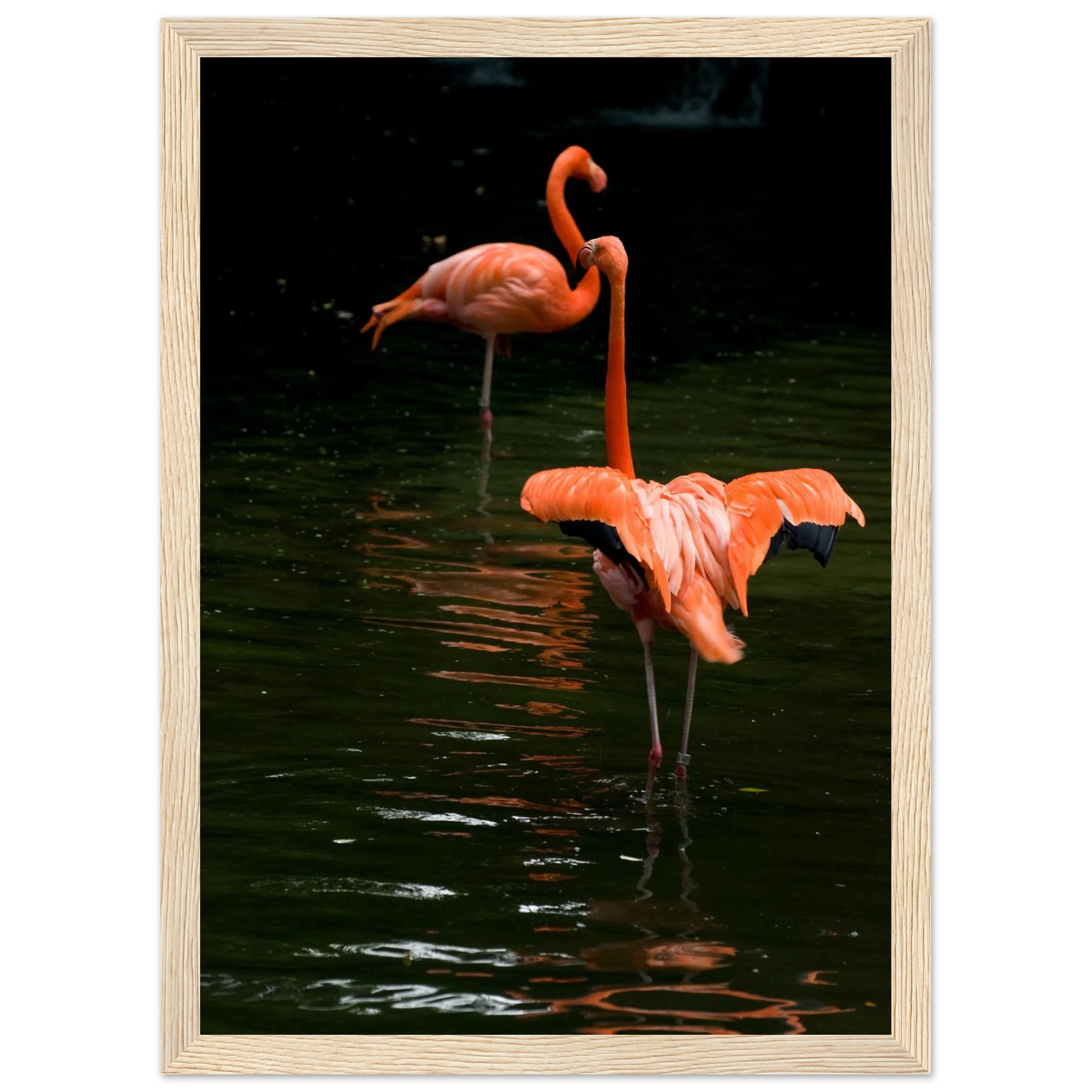 0a90456a-e5e7-49b5-944b-94992d20839e