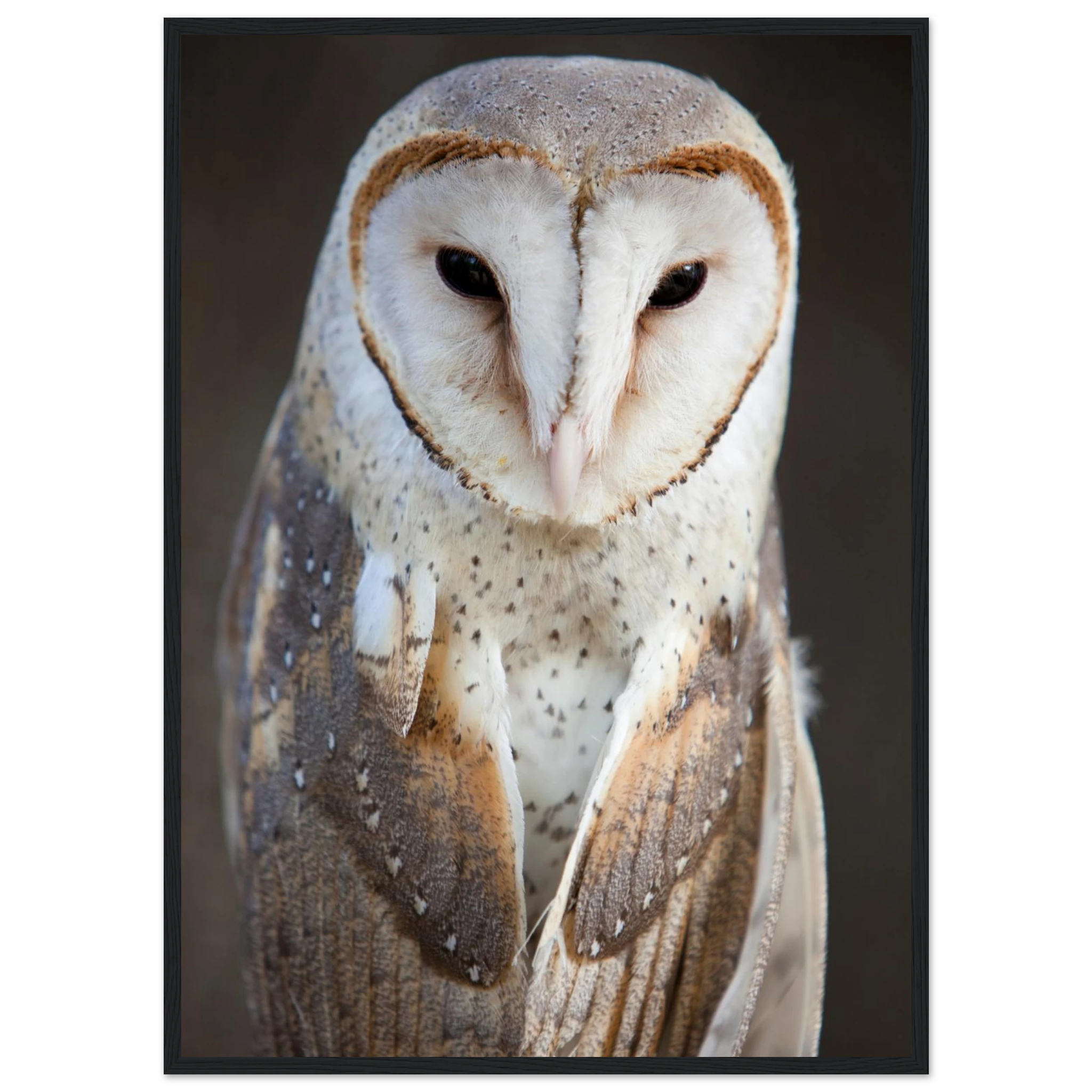 0a9324b5-ff29-471f-ab56-7c2756d524dc